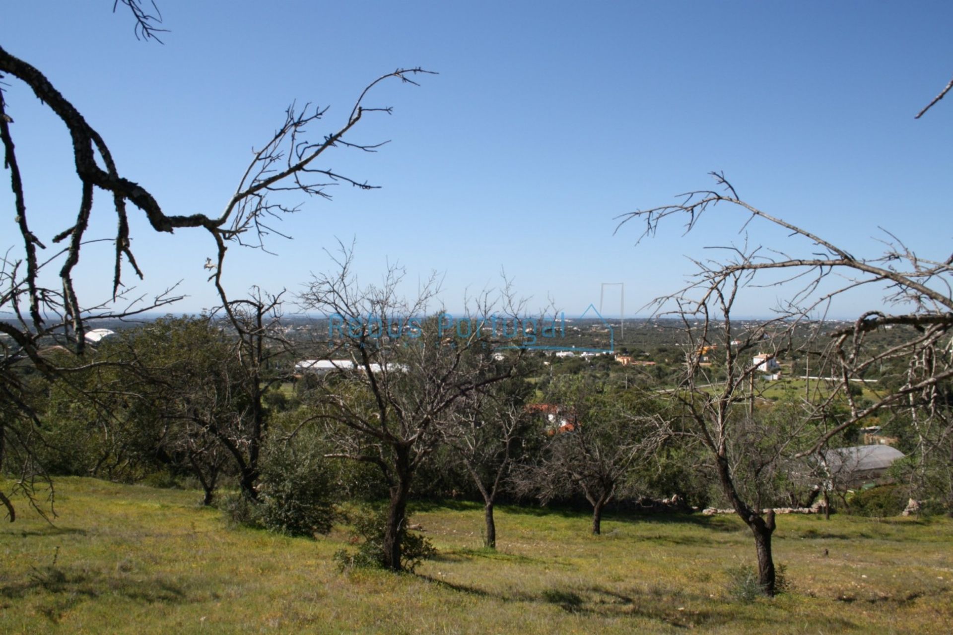 Будинок в Faro, Faro District 10107942