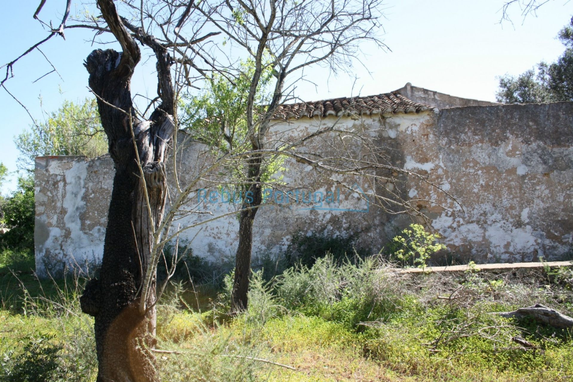 House in Faro, Faro District 10107942