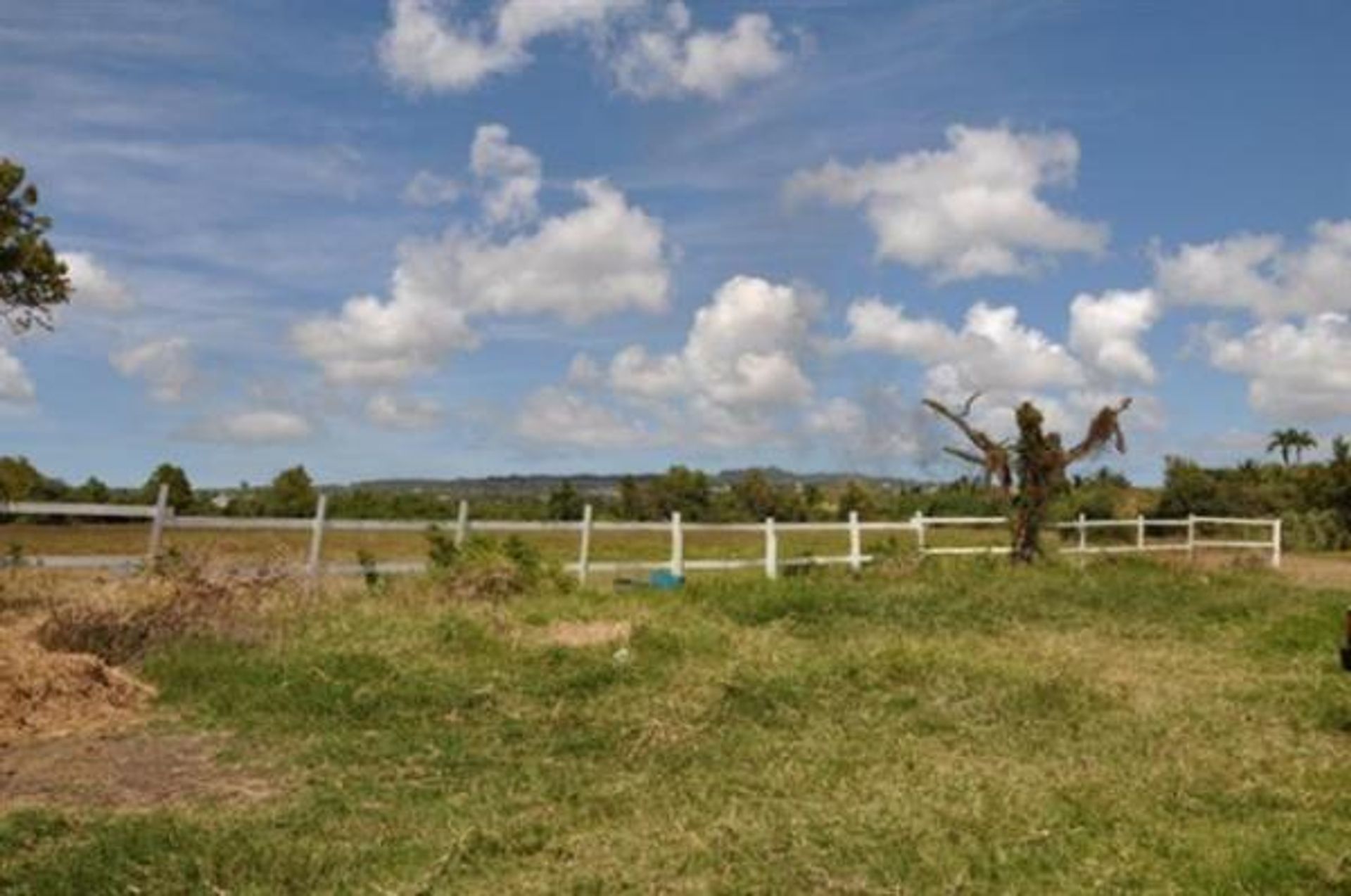 Land in Neils, Sint Michaël 10108154