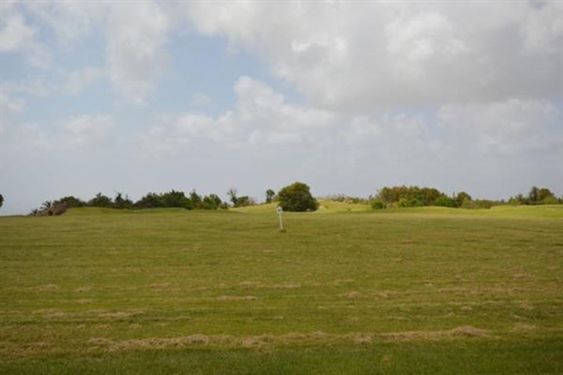 Tanah dalam Mose Bawah, Saint Andrew 10108277