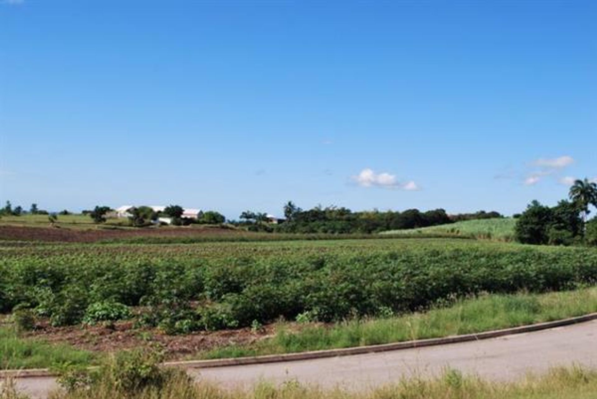 Land in Monteer, Sint George 10108337