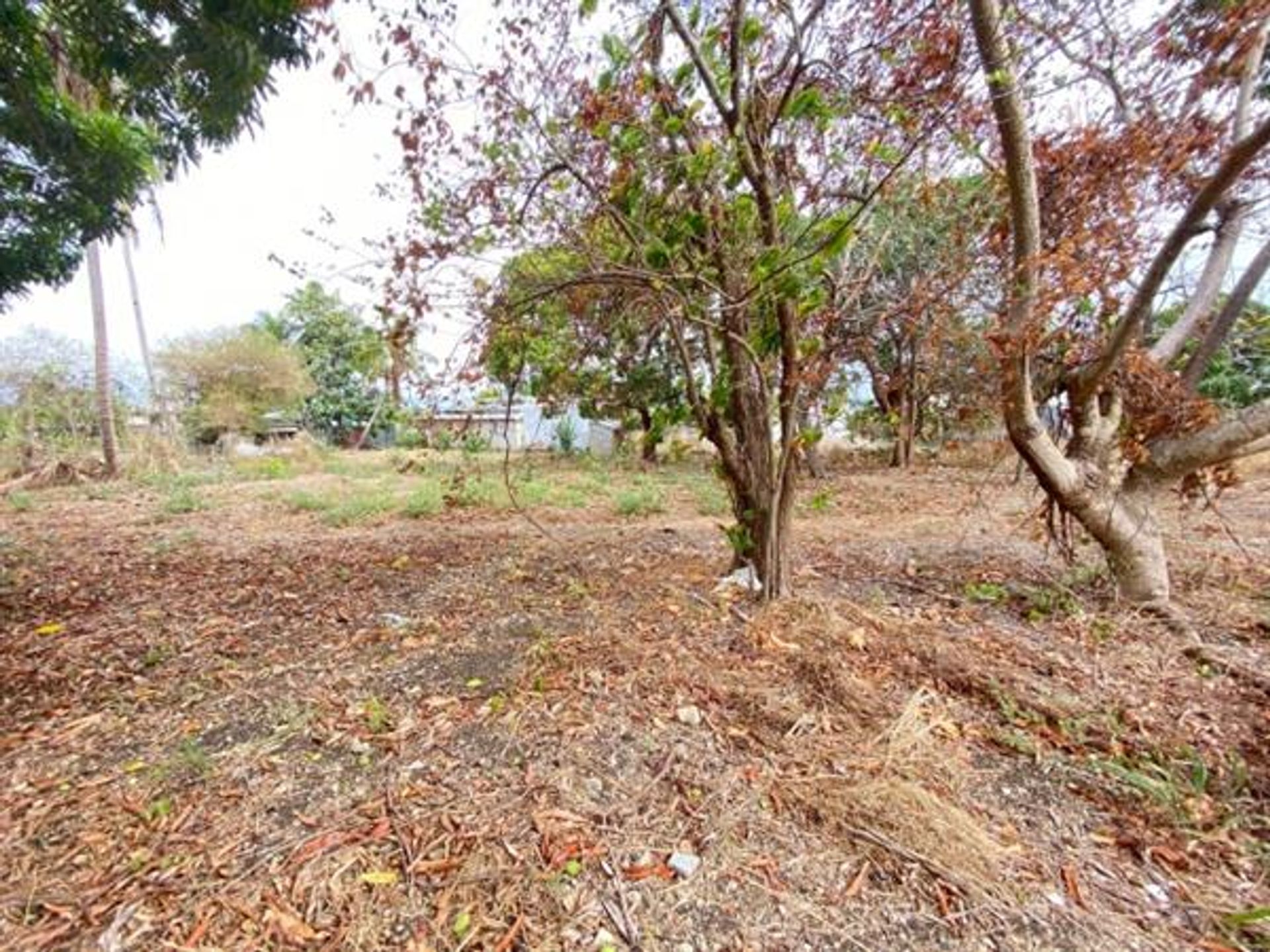 Land in Holders Hill, Saint James 10108339