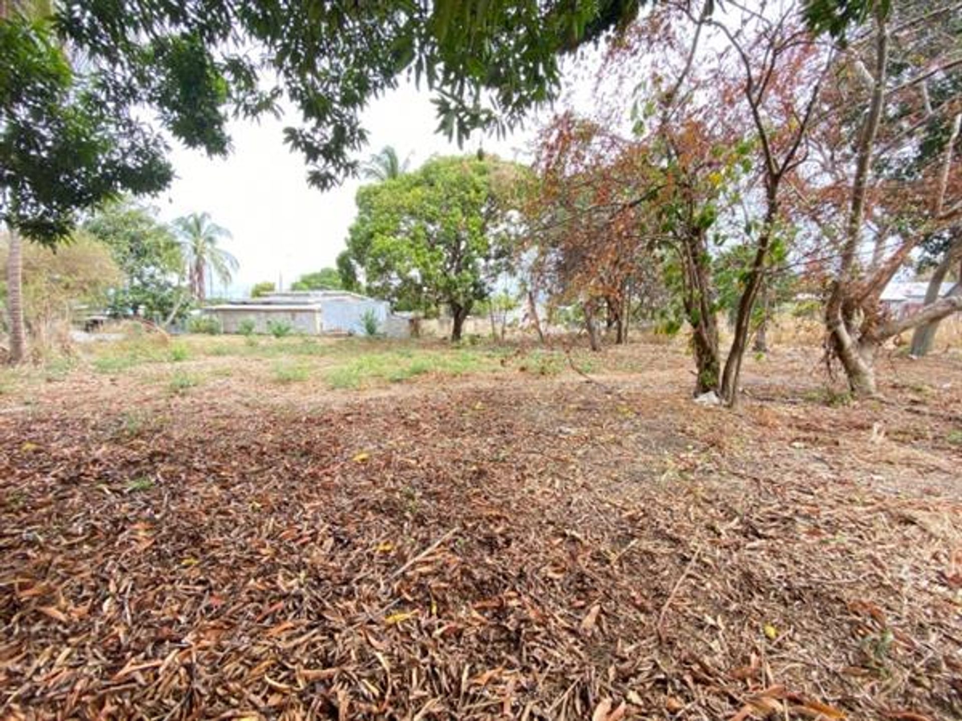 Land in Holders Hill, Saint James 10108339