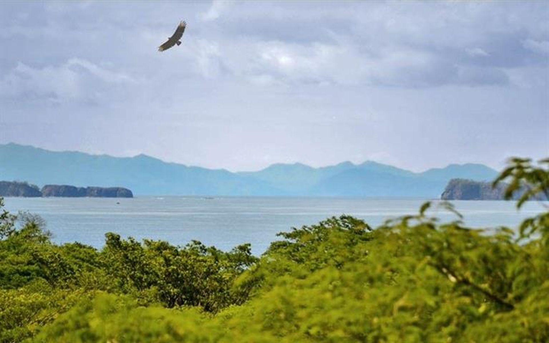 Кондоминиум в Angeles, Guanacaste 10108354