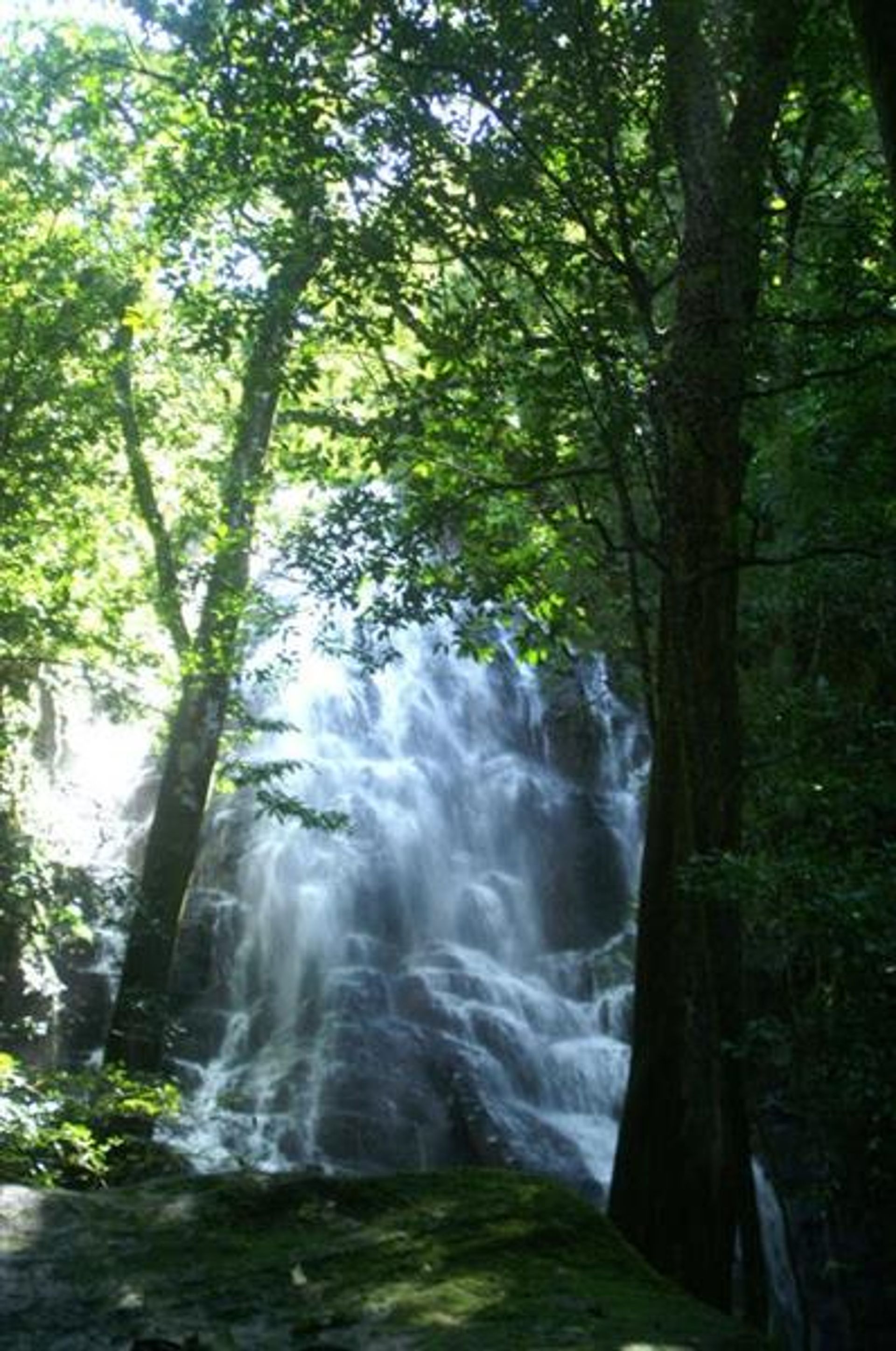 بيع بالتجزئة في Curubande, Liberia 10108440