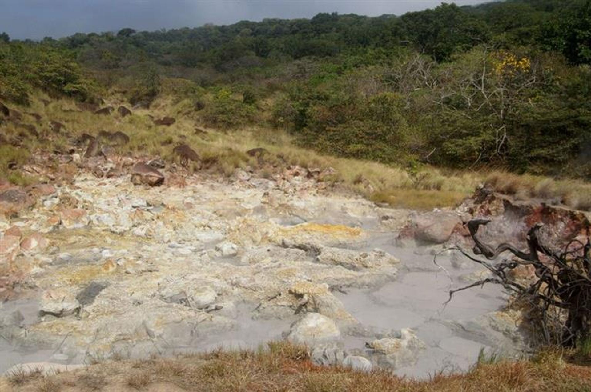 بيع بالتجزئة في Curubande, Liberia 10108440