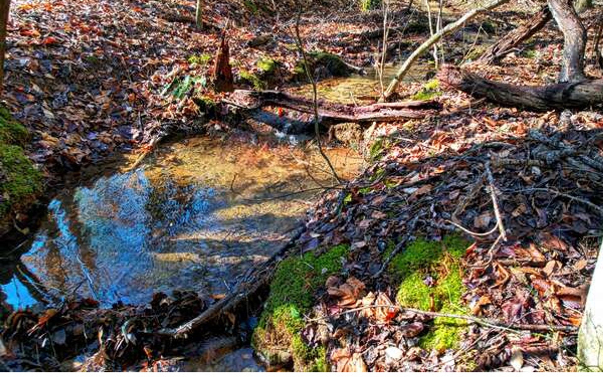 Tanah dalam Canal Lake, Georgia 10108931