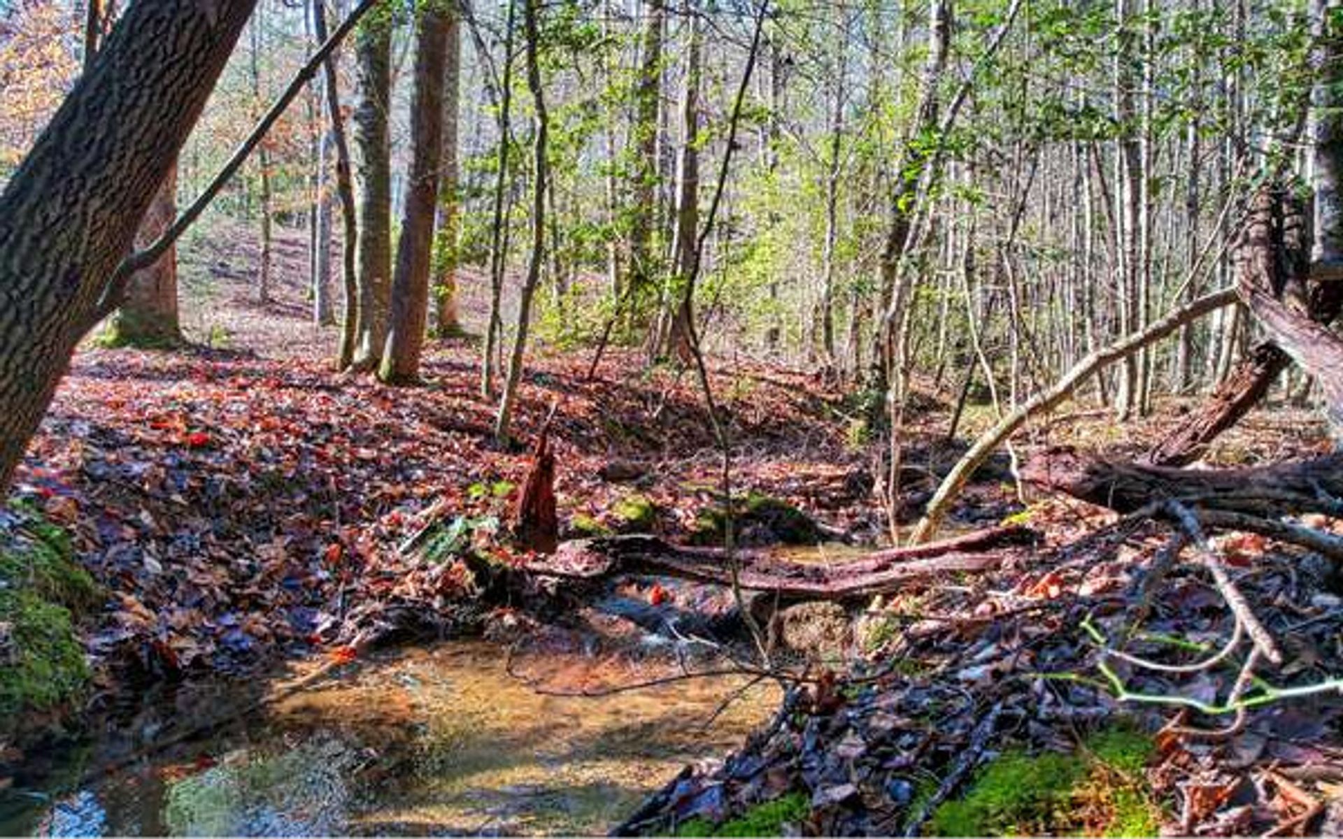 الأرض في Canal Lake, Georgia 10108931