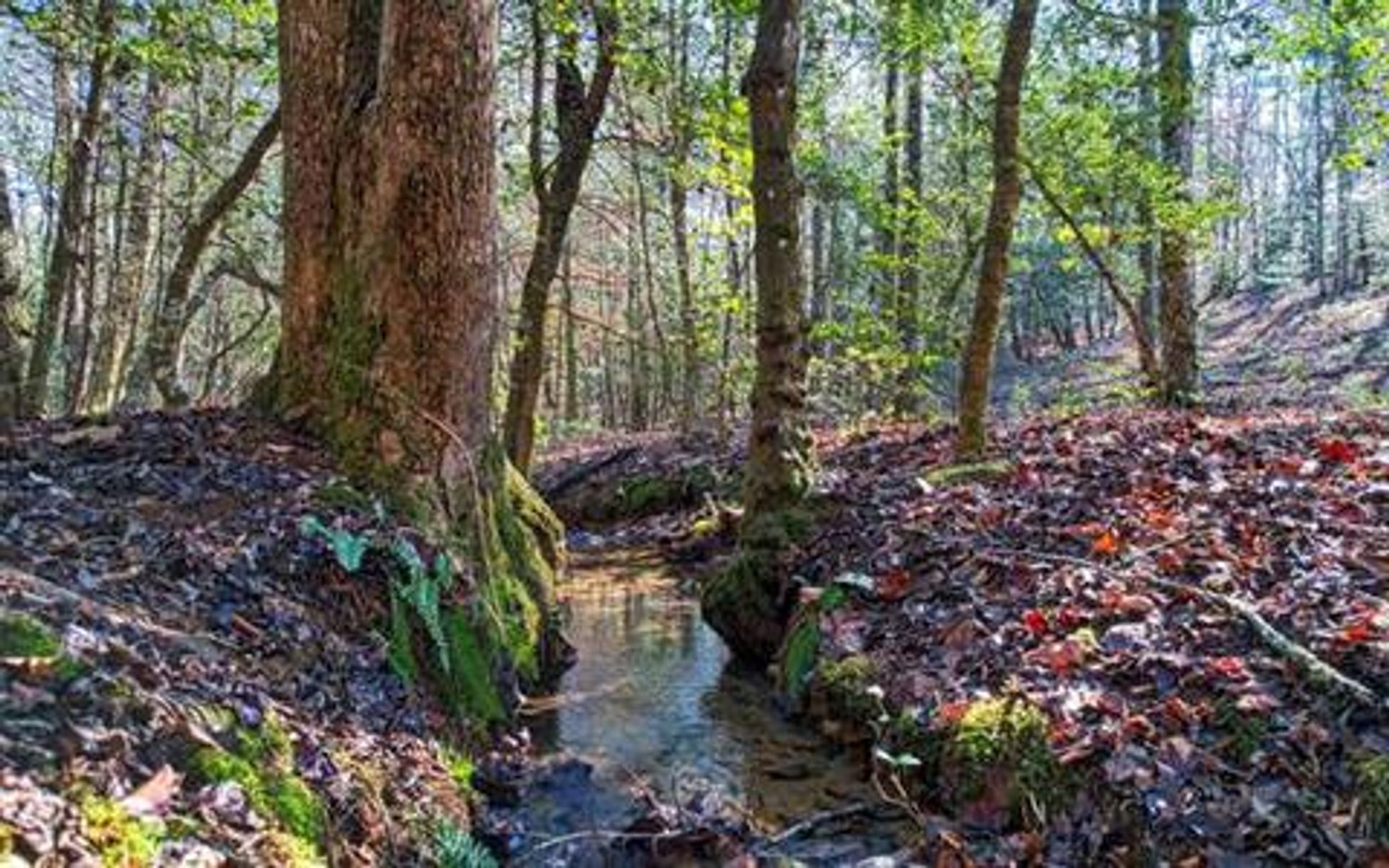 Земля в Canal Lake, Georgia 10108931