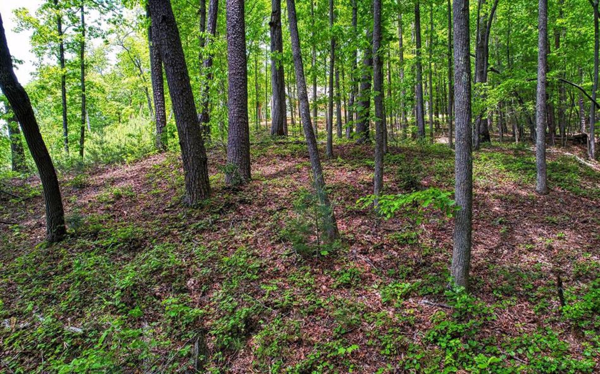 Tanah dalam Bukit Bunker, Georgia 10108972