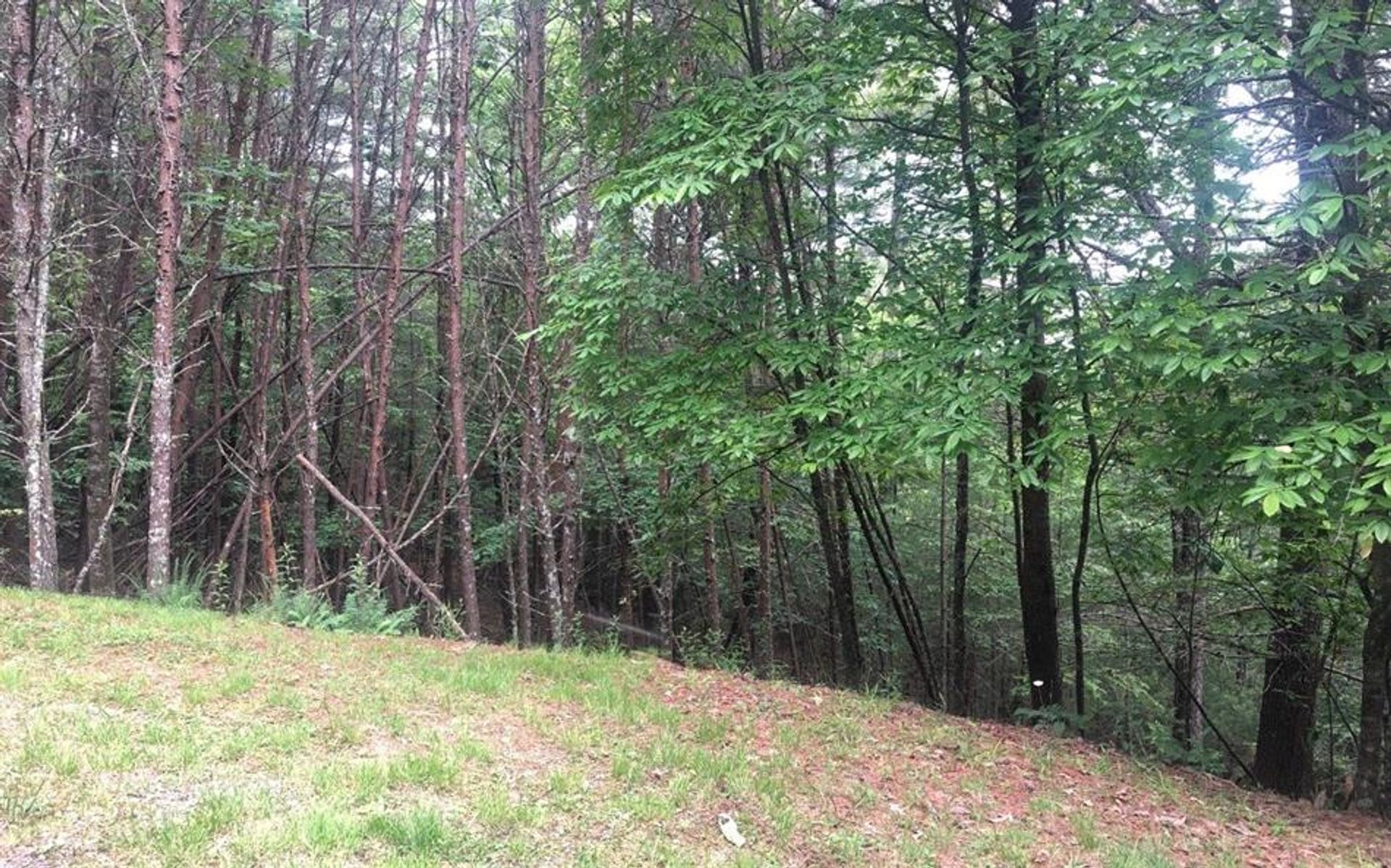 Land in Blairsville, Georgia 10108987