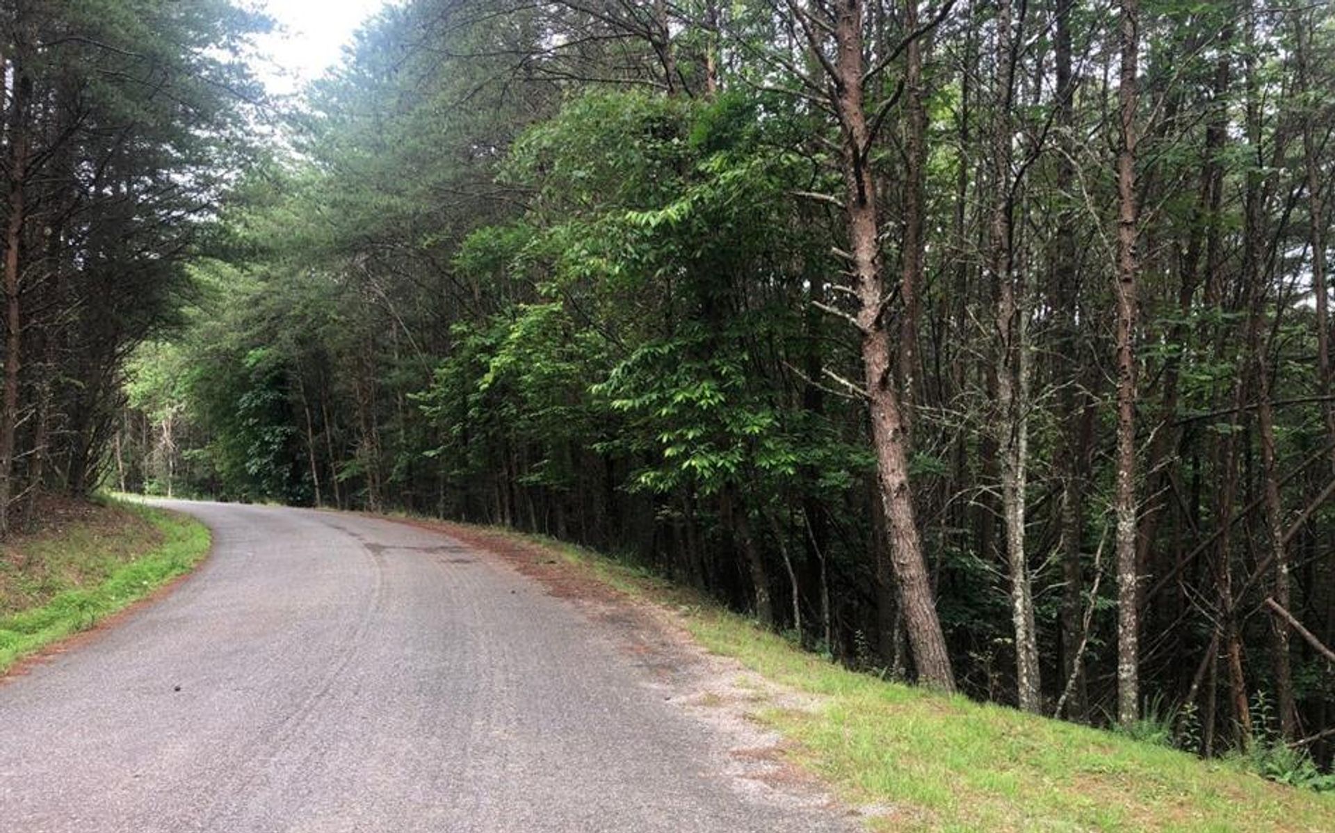 Land in Blairsville, Georgia 10108987