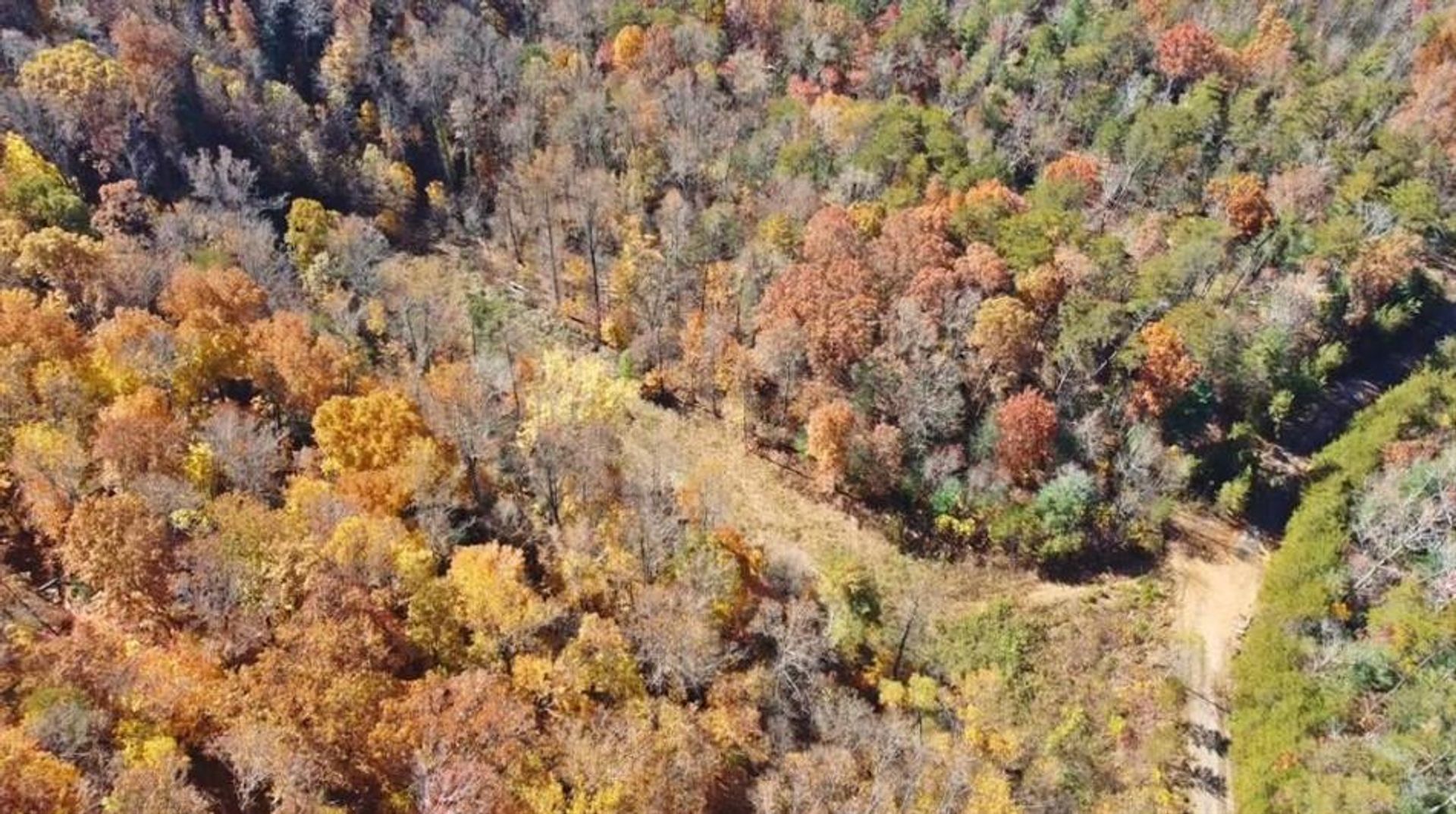 House in Cherry Log, Georgia 10109153