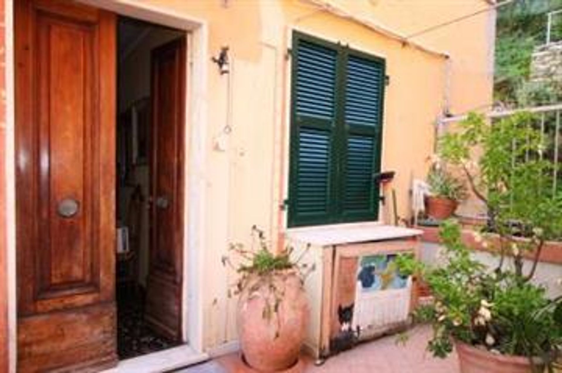 Condominium in Vernazza, Liguria 10109933