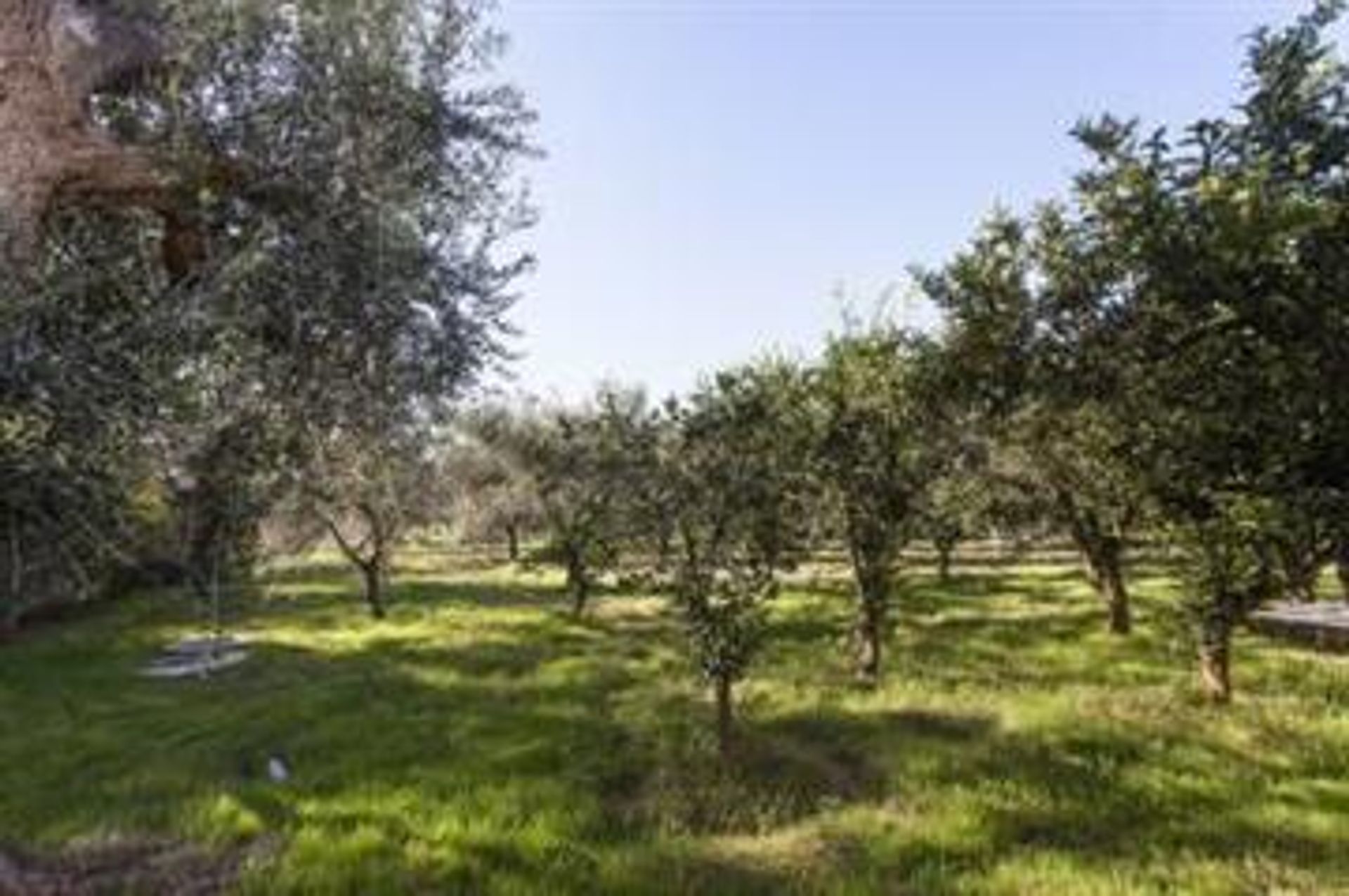 Casa nel Oria, Puglia 10110034