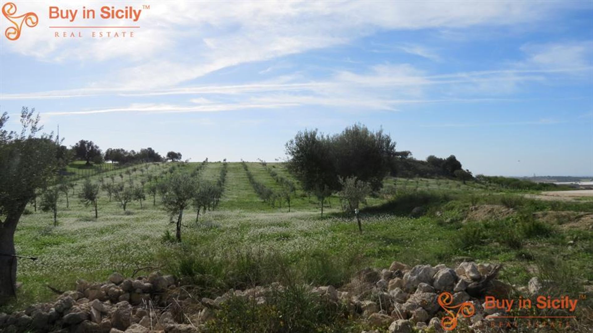 House in Noto, Sicilia 10110066