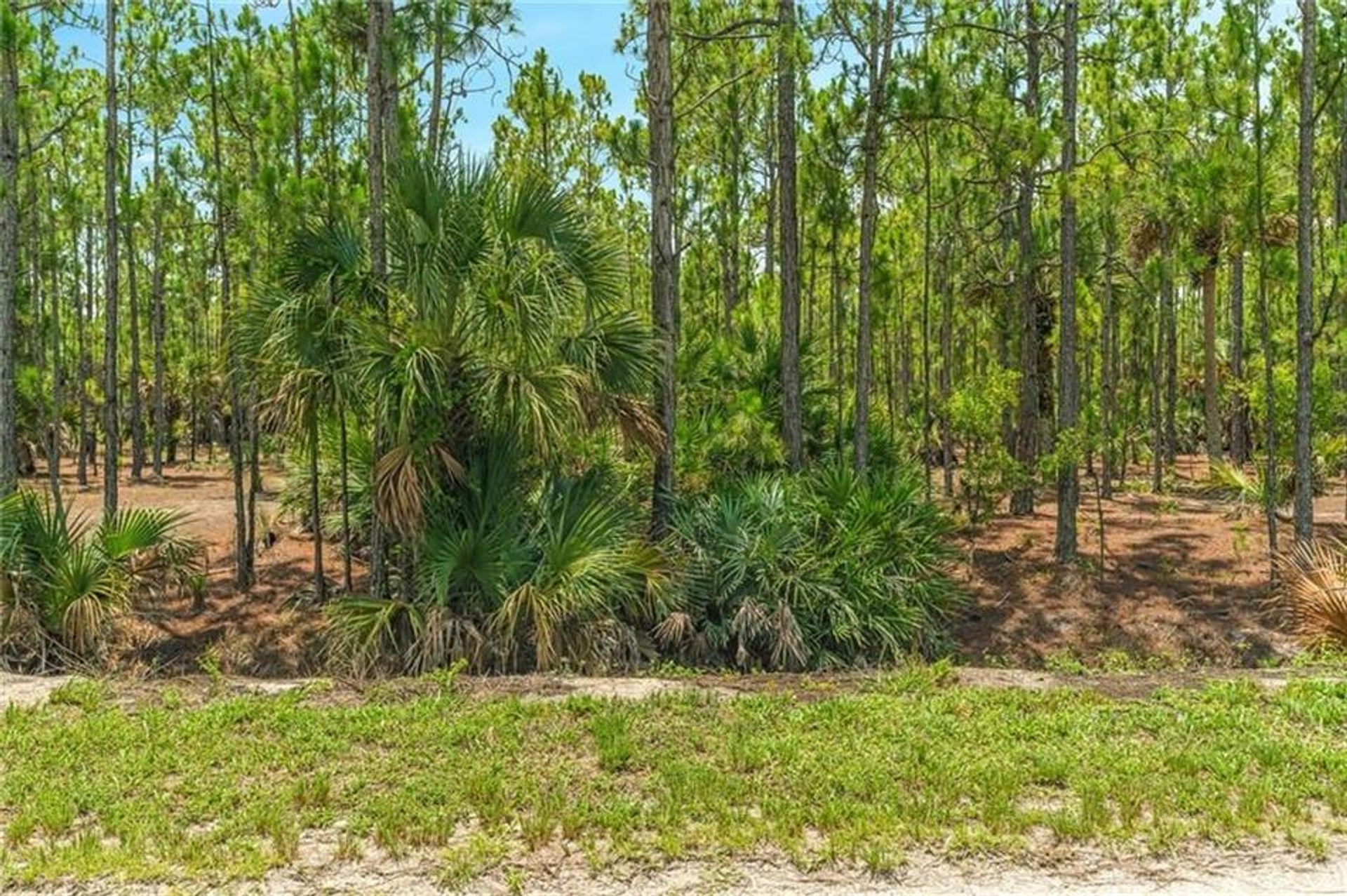 Land in Fellsmere, Florida 10110557