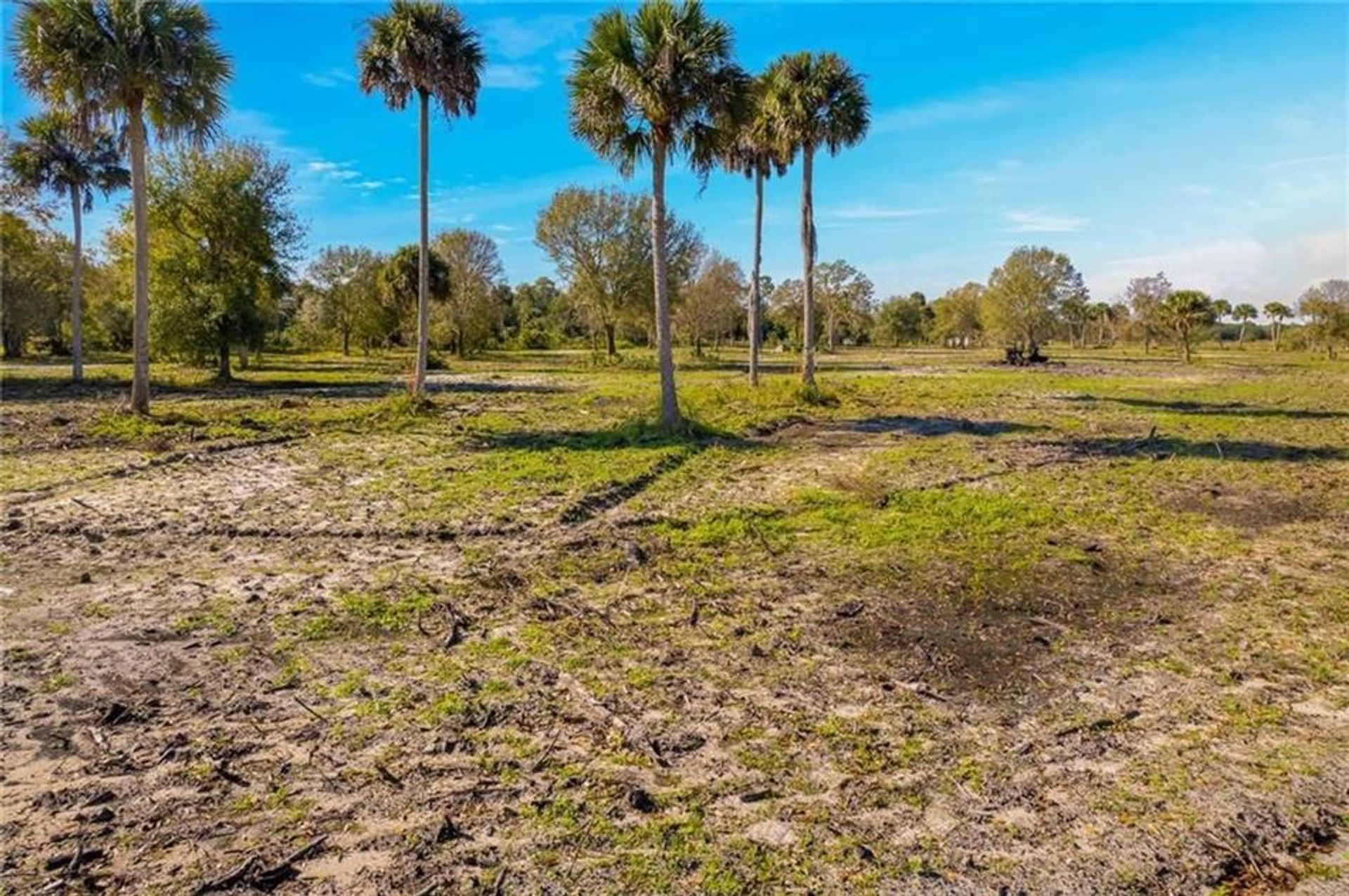 Land in Fellsmere, Florida 10110558