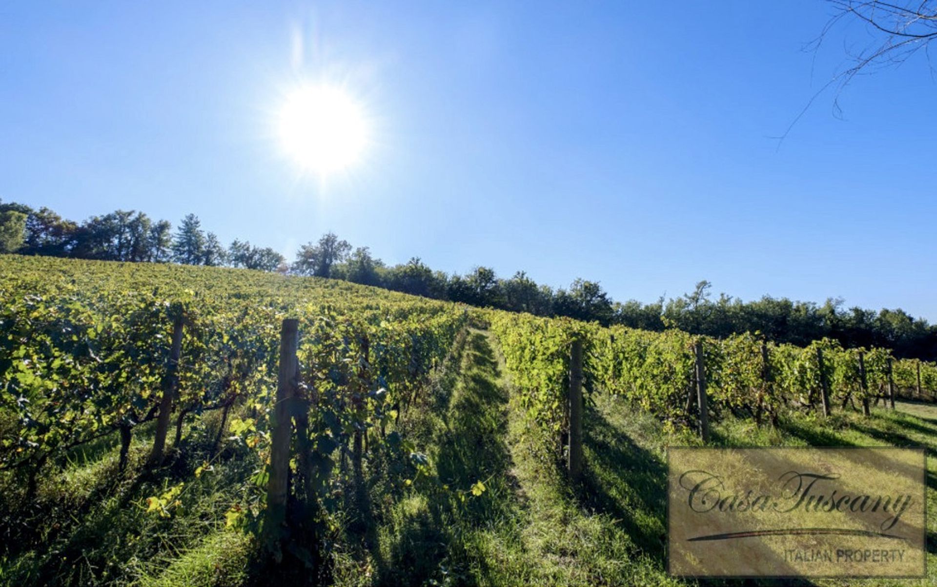 Eigentumswohnung im Greve in Chianti, Tuscany 10112919