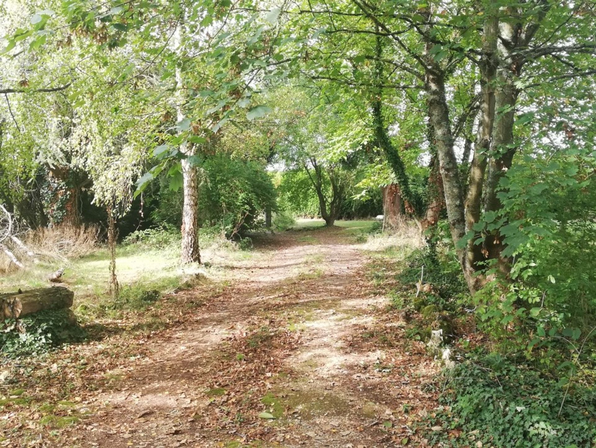 Hus i Chasseneuil-sur-Bonnieure, Nouvelle-Aquitaine 10113424