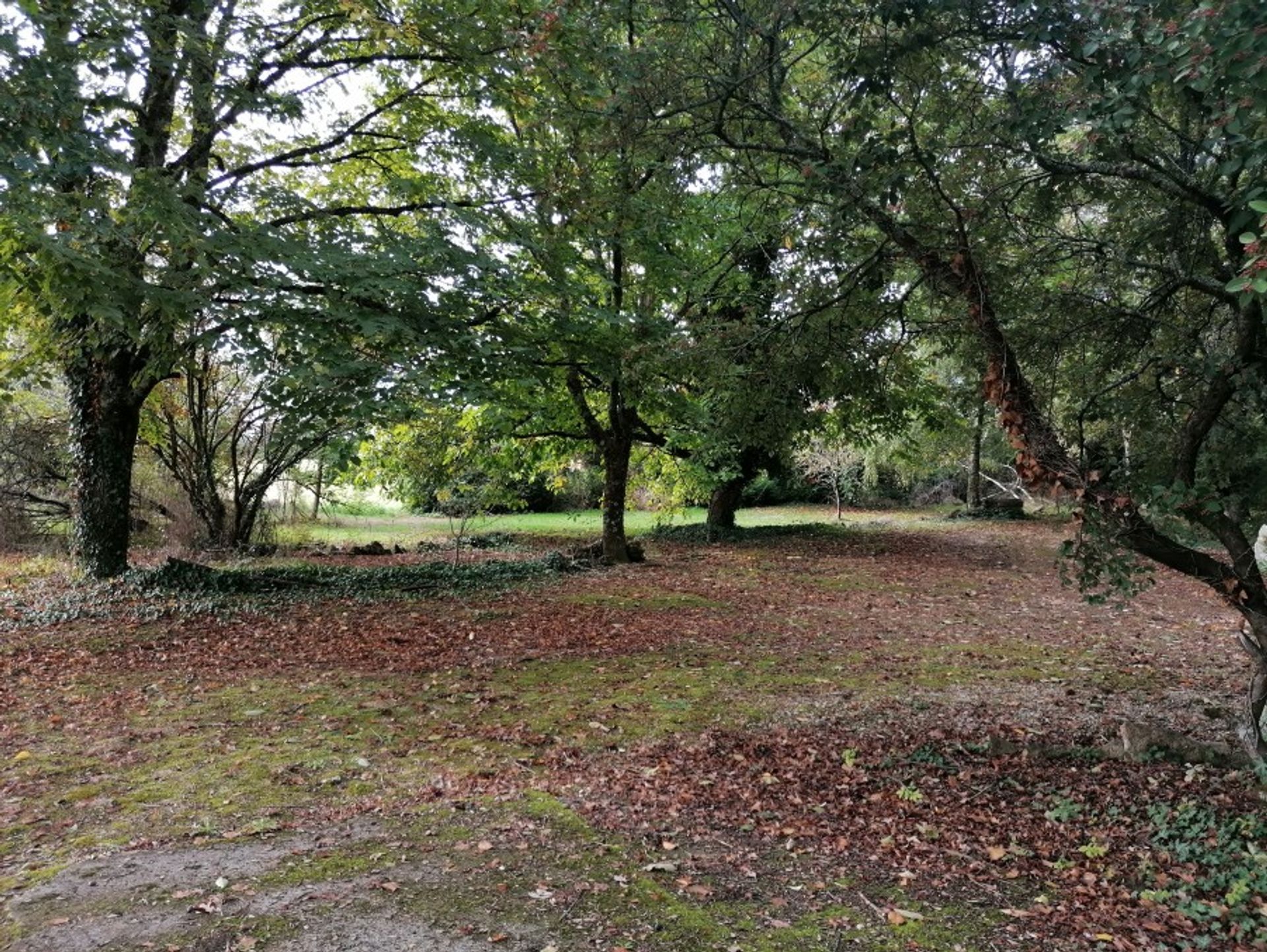 मकान में Chasseneuil-sur-Bonnieure, Nouvelle-Aquitaine 10113424