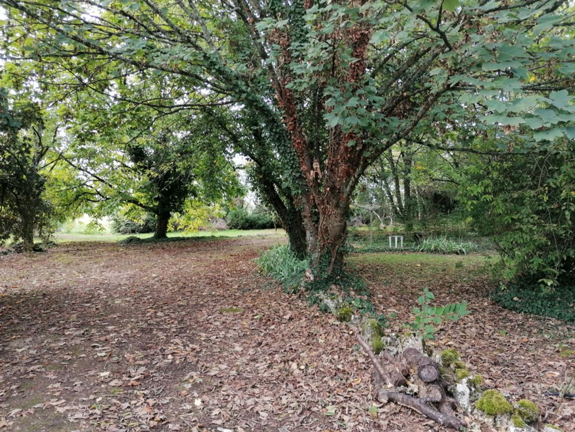 casa en Chasseneuil-sur-Bonnieure, Nouvelle-Aquitaine 10113424