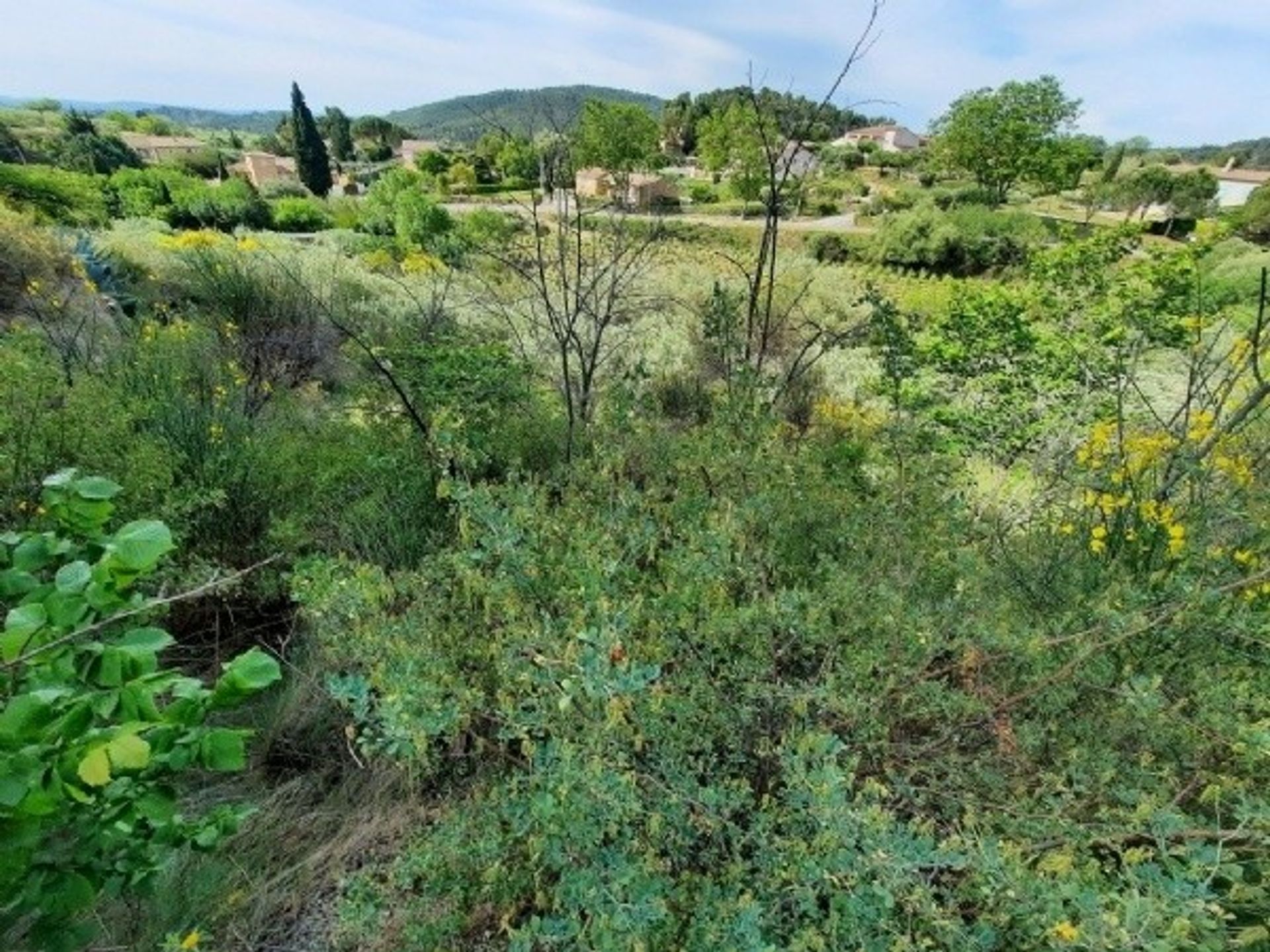 Hus i Capestang, Occitanie 10113873