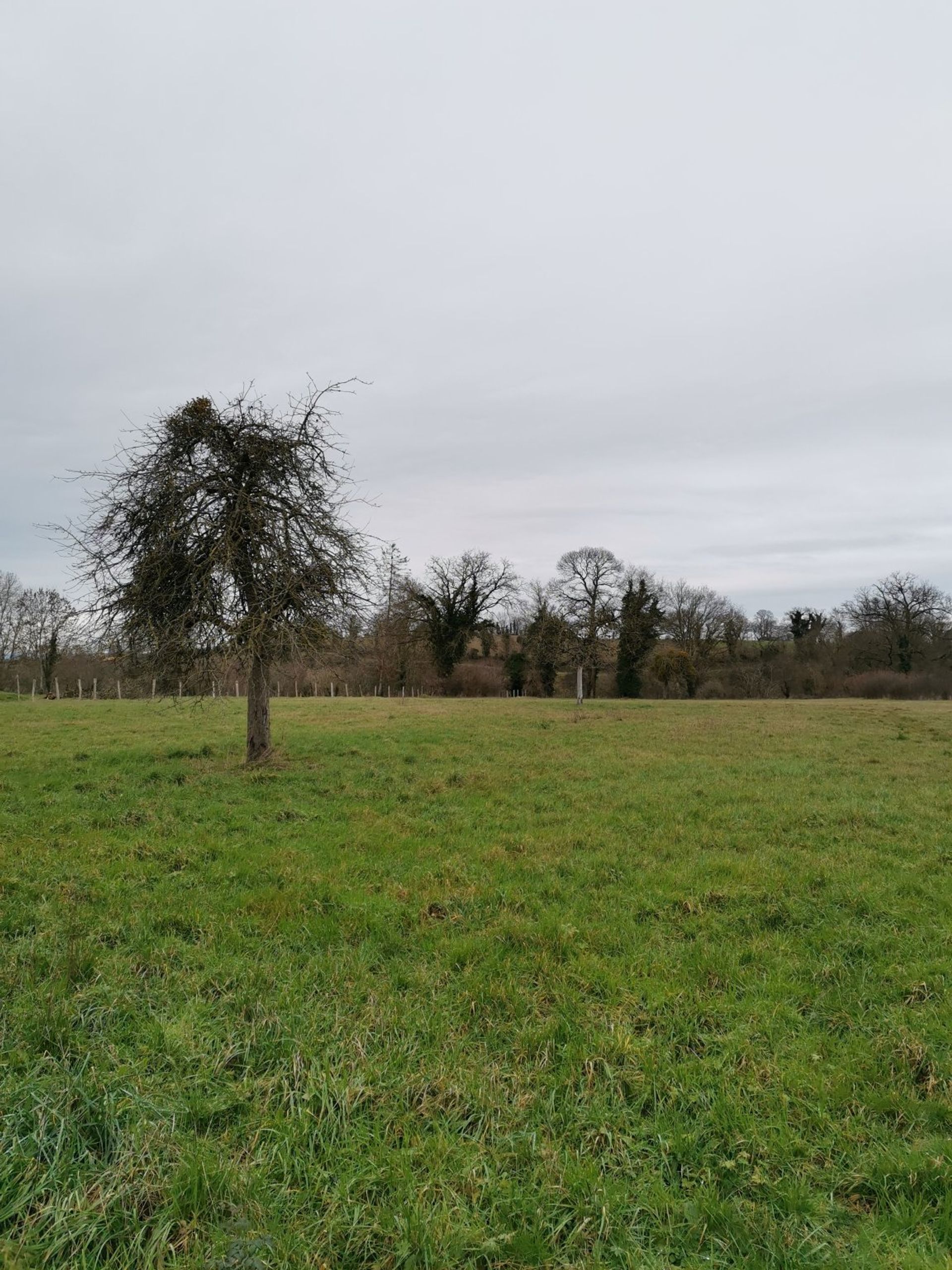 loger dans Chevaigné-du-Maine, Pays de la Loire 10113882