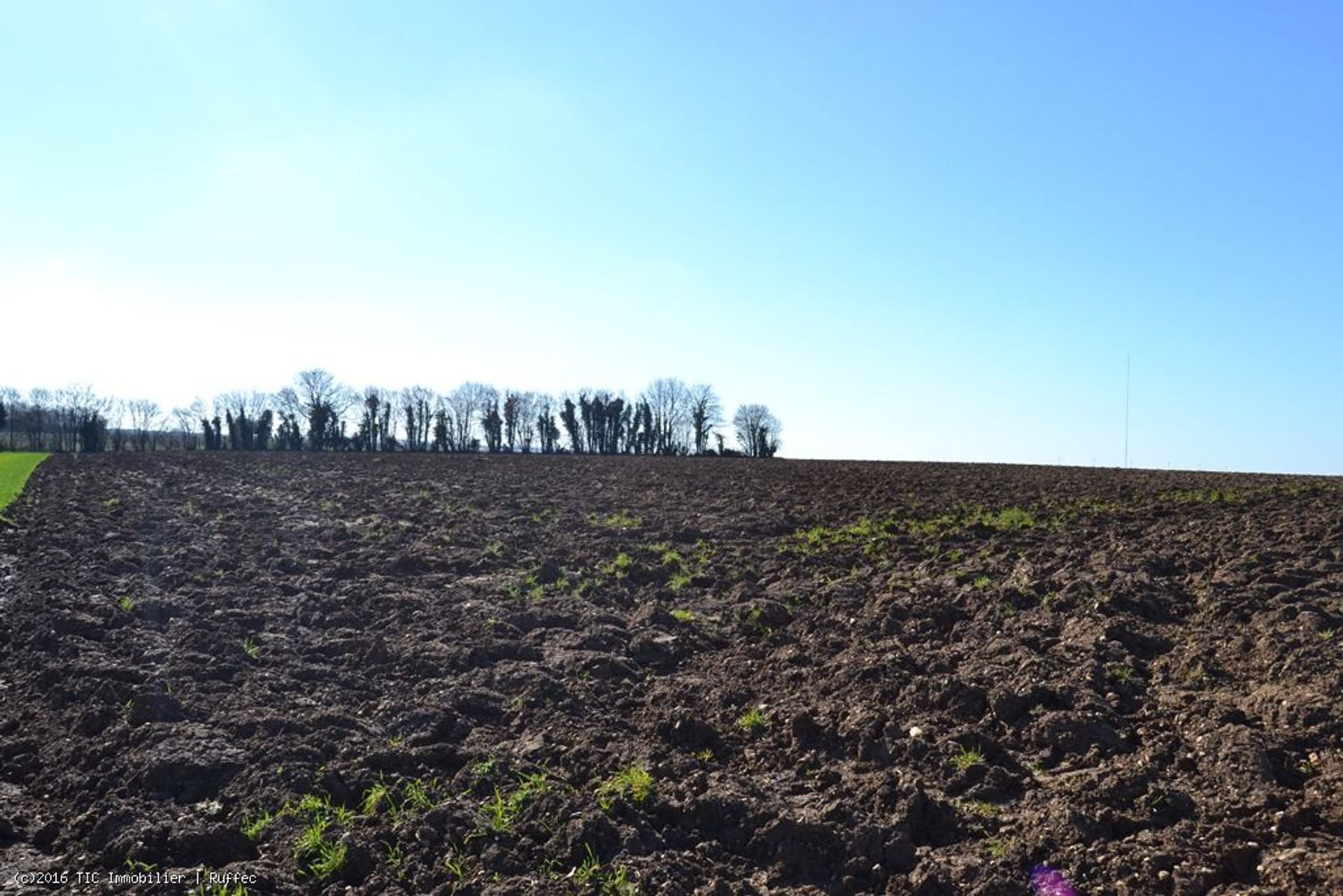 loger dans Ruffec, Nouvelle-Aquitaine 10113912