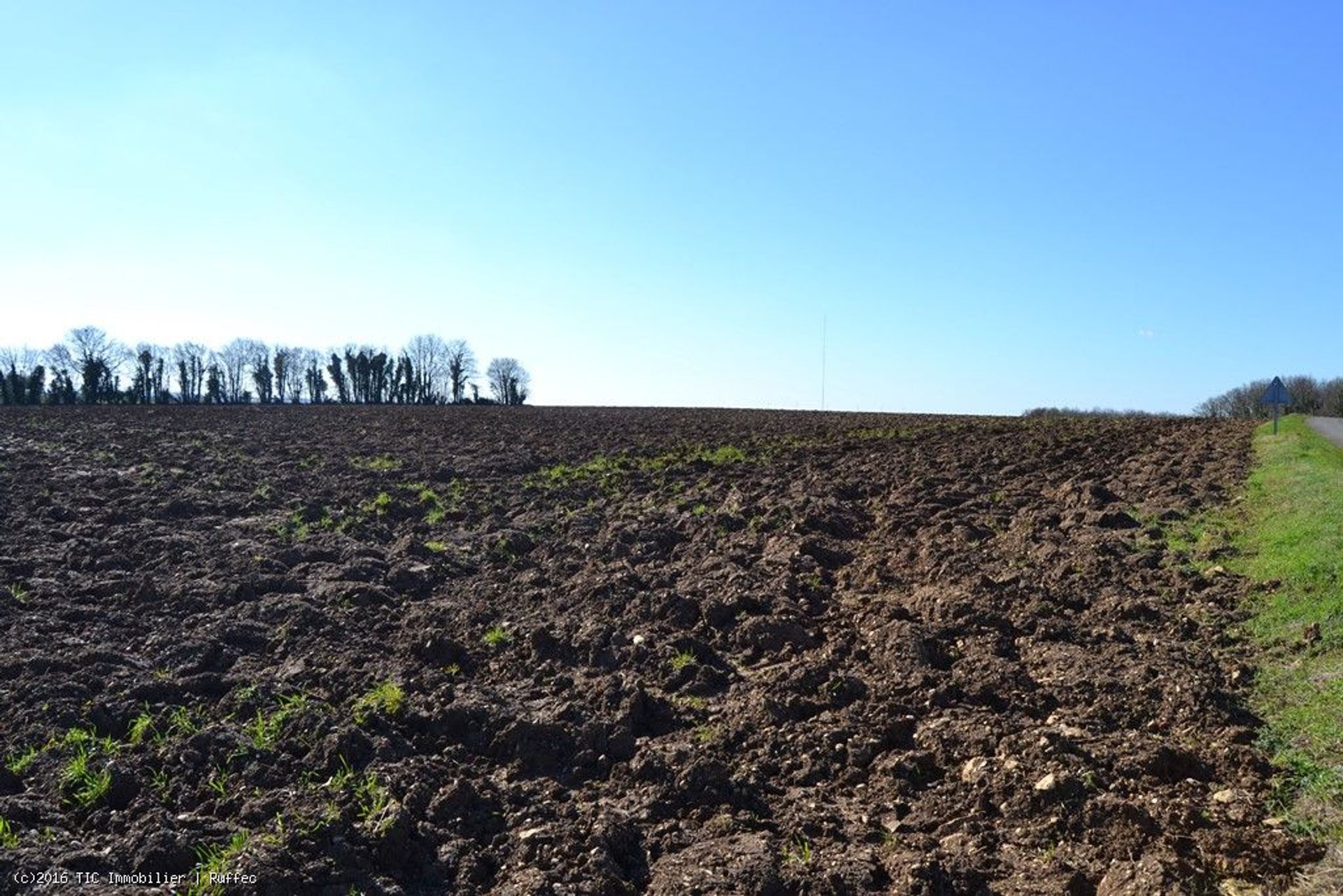 loger dans Ruffec, Nouvelle-Aquitaine 10113912