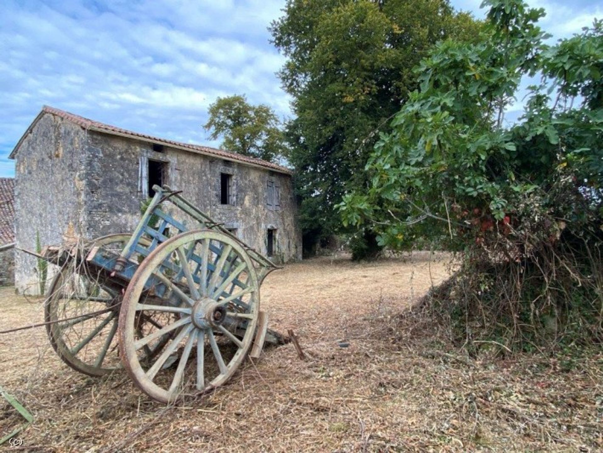 Casa nel Aunac-sur-Charente, Nouvelle-Aquitaine 10113949