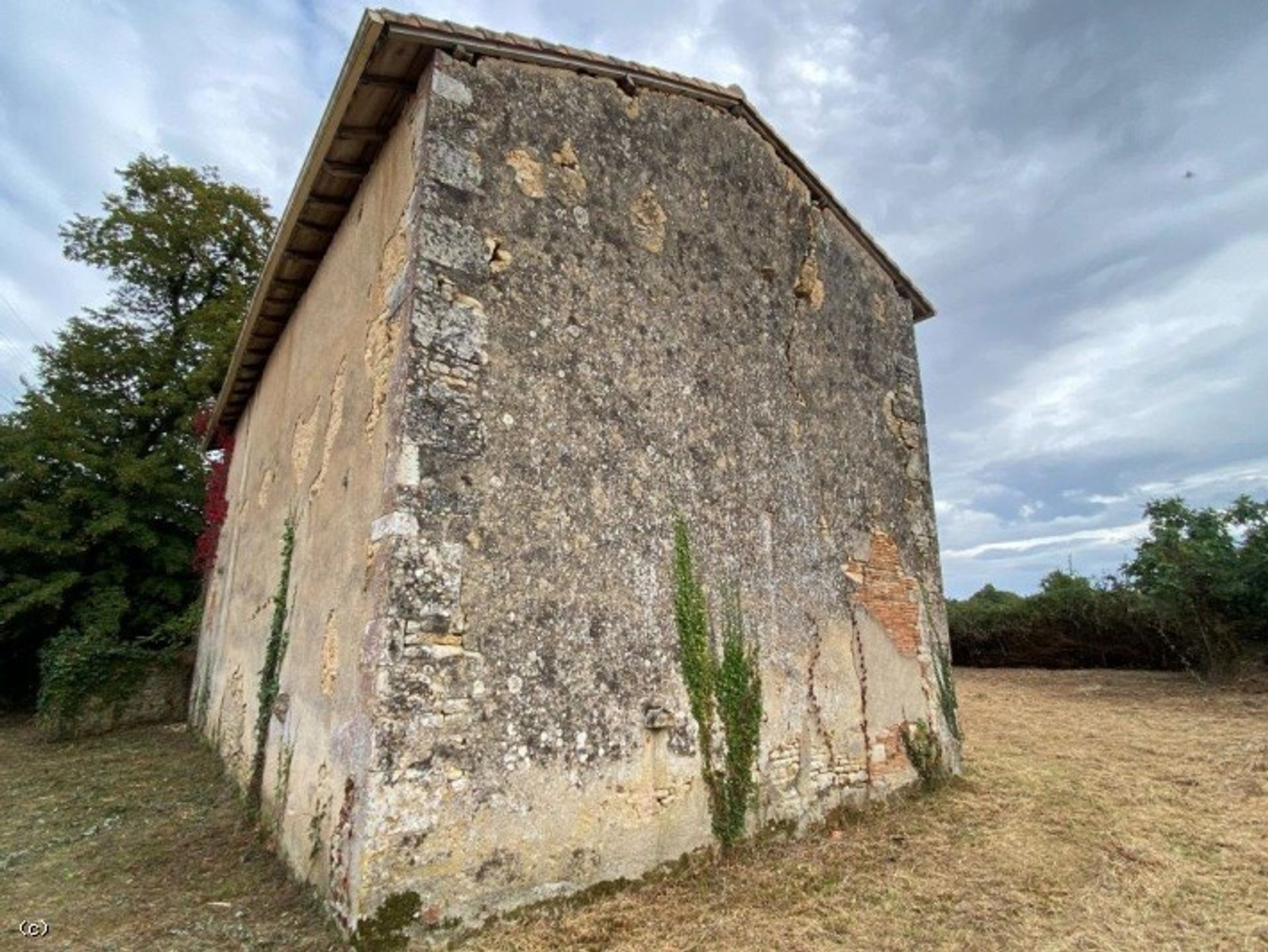 Hus i Aunac-sur-Charente, Nouvelle-Aquitaine 10113949