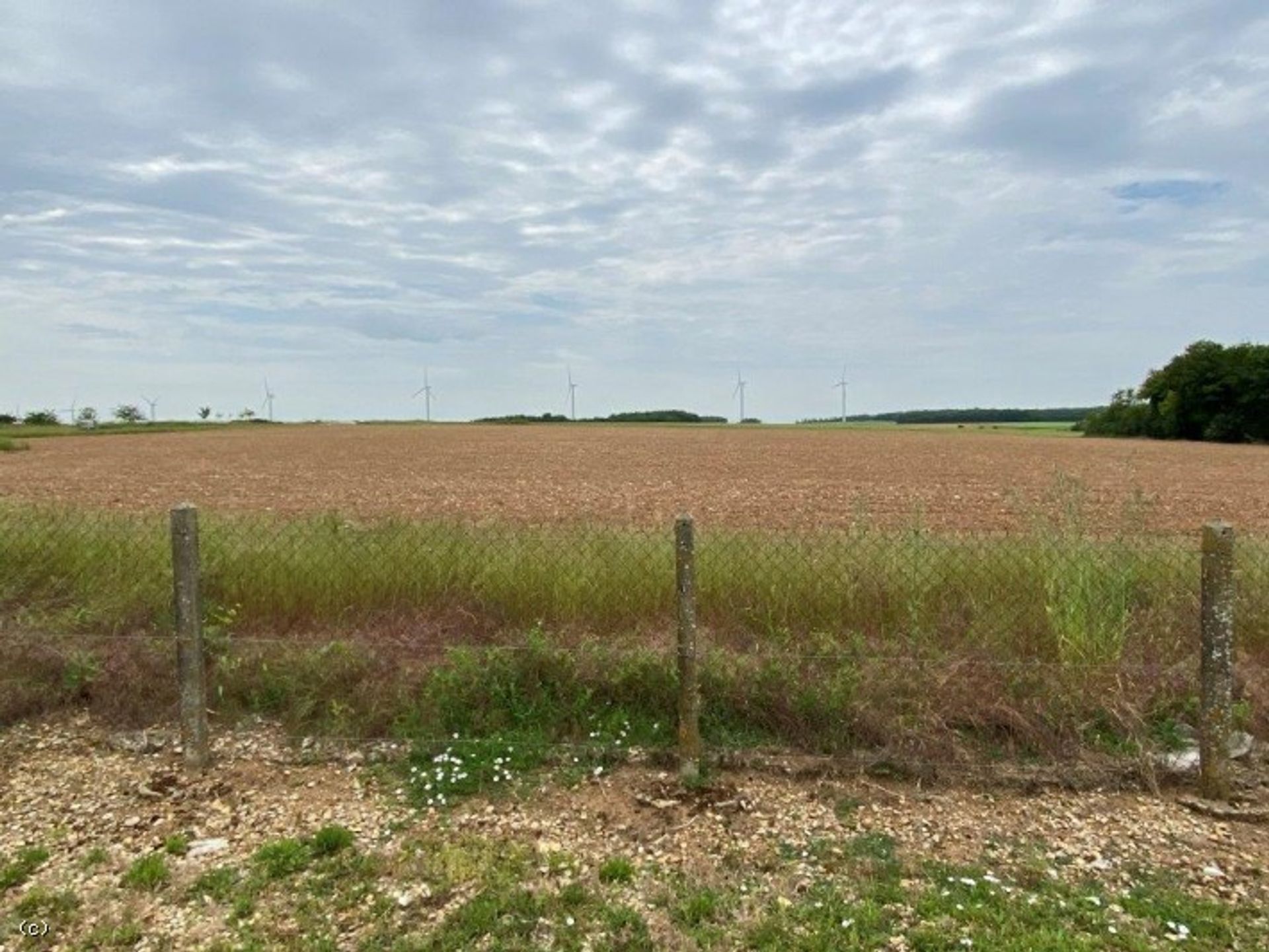 Lain di Verteuil-sur-Charente, Nouvelle-Aquitaine 10113960