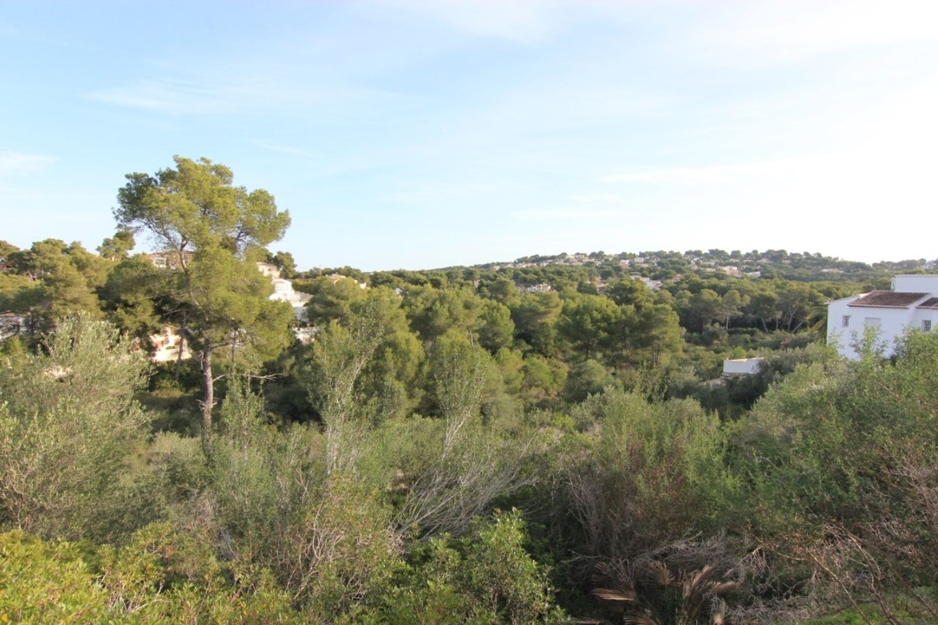 Wylądować w Balcó al Mar, Comunidad Valenciana 10115088