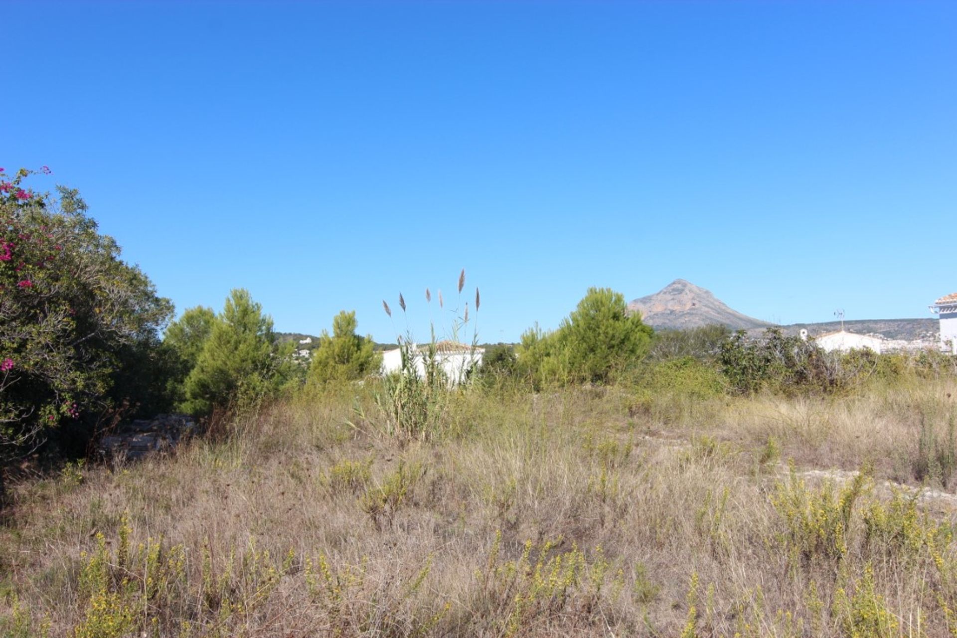 Terre dans Xàbia, Comunidad Valenciana 10115227