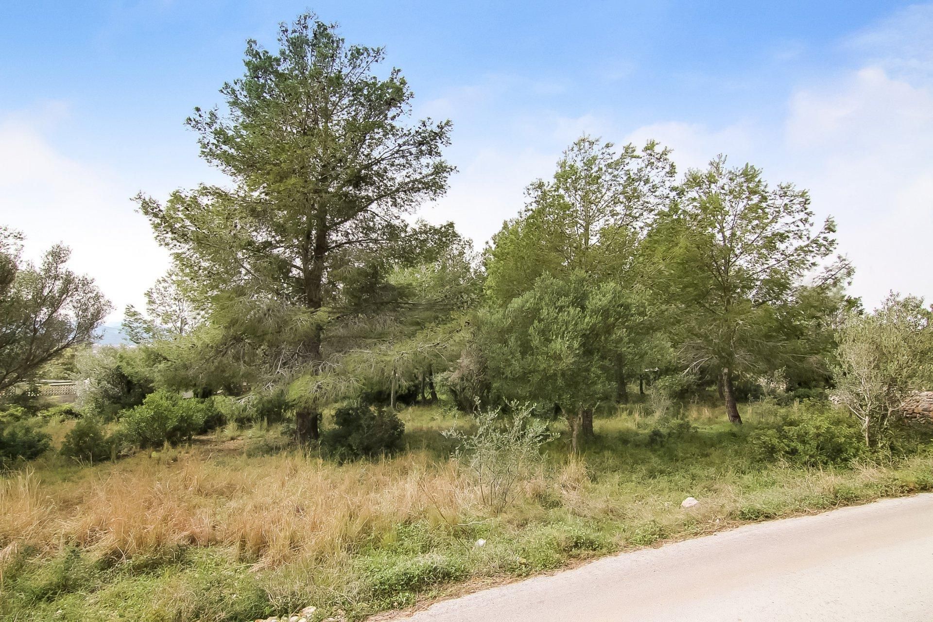 Tierra en Xàbia, Comunidad Valenciana 10115229