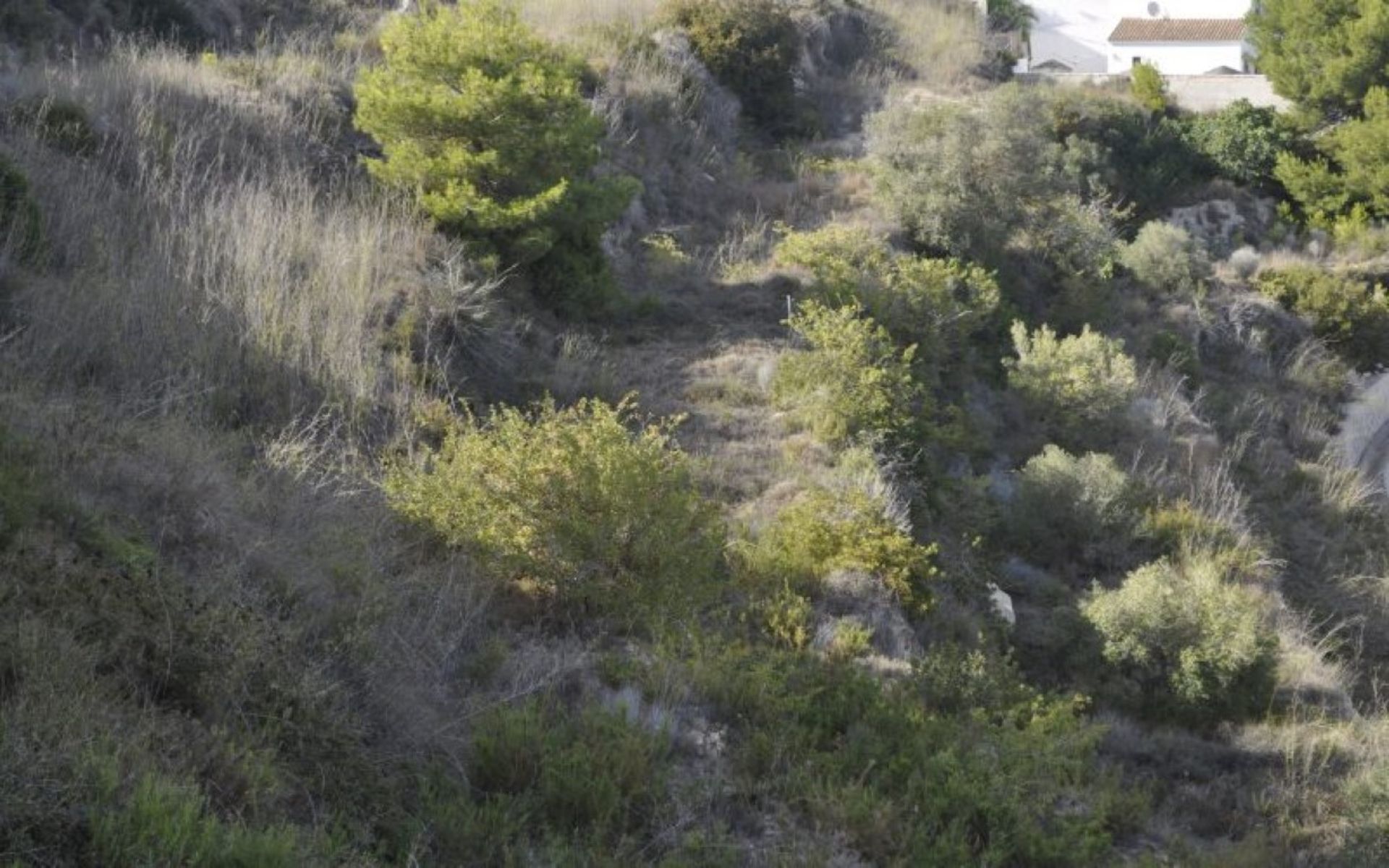 Terra no Moraira, Ilhas Canárias 10115275