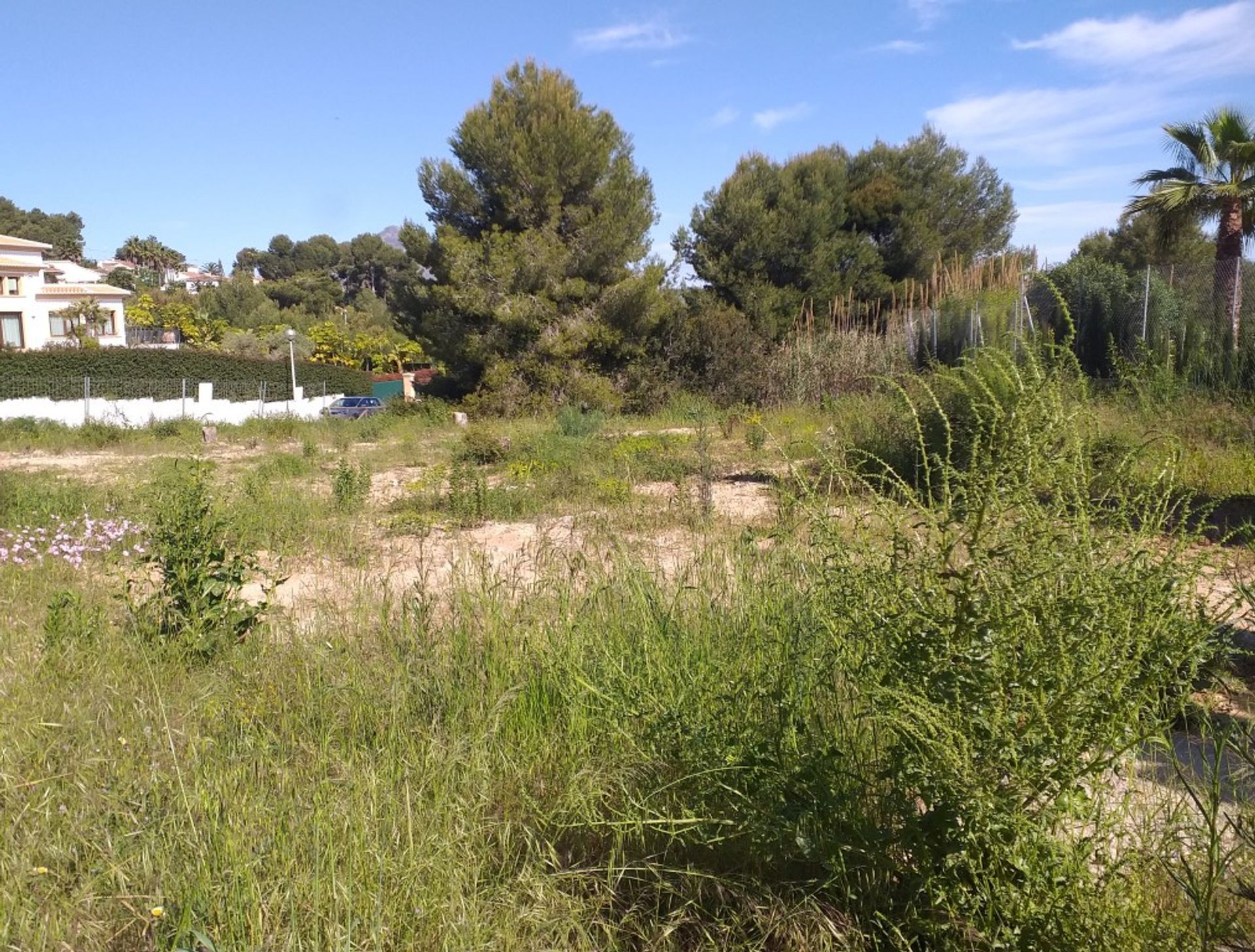 Land i Javea, Valencia 10115398