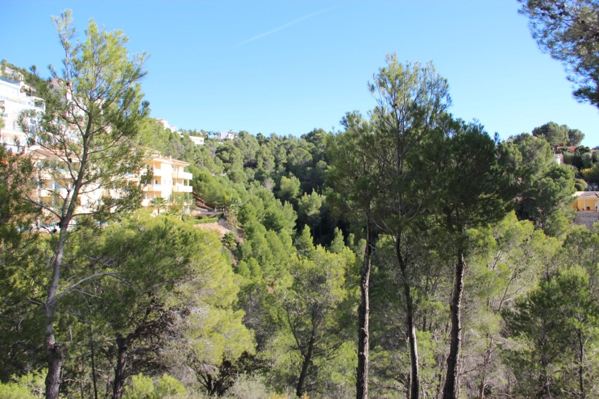 Terre dans Altea la Vieja, Valence 10115655