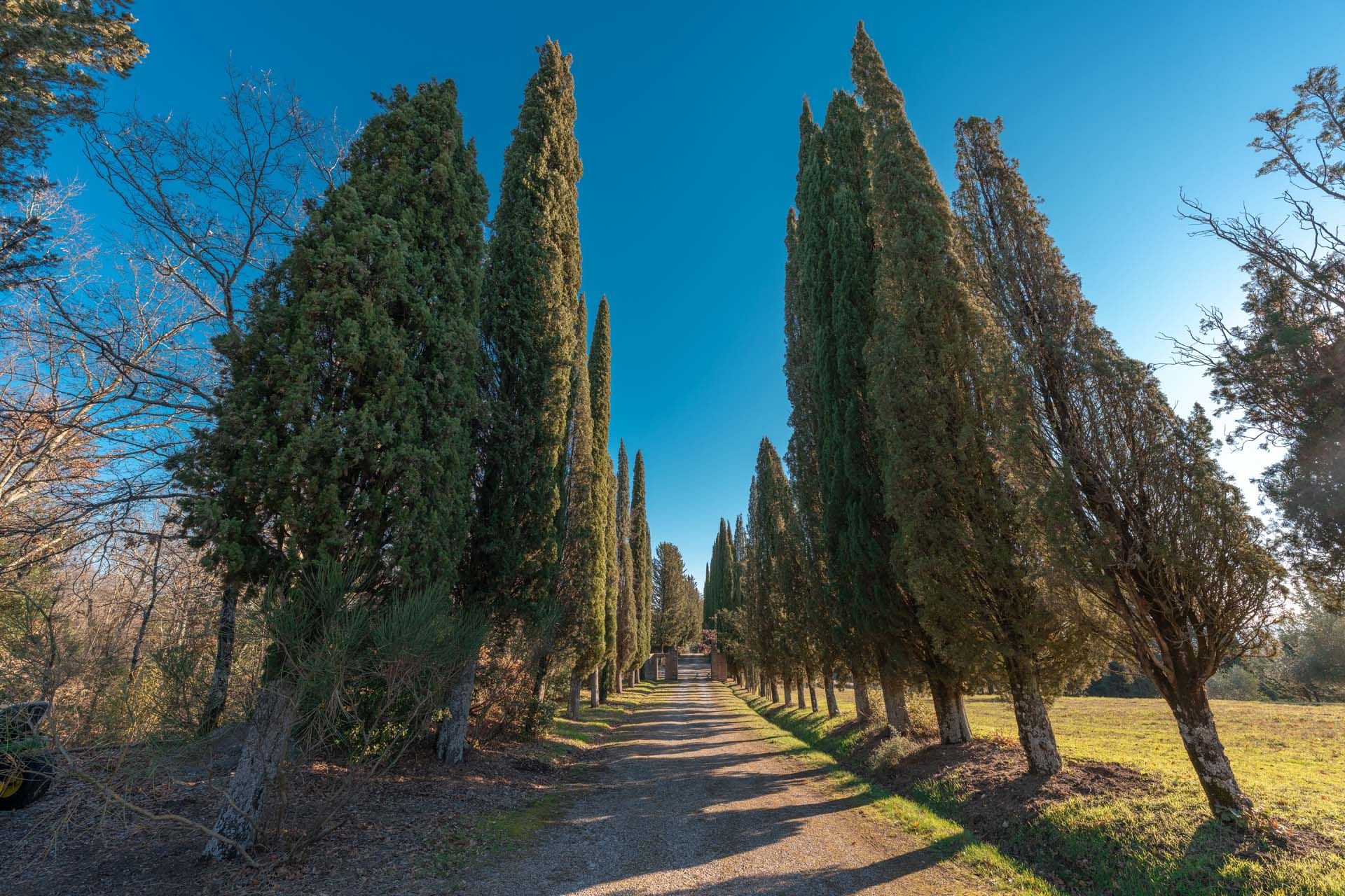 casa en Siena, Toscana 10115715