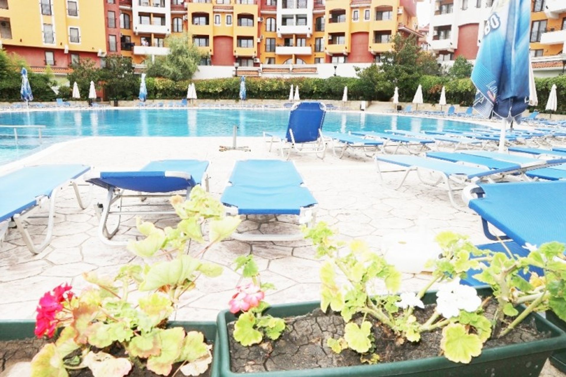 Condominio nel Aheloy, Burgas 10115799