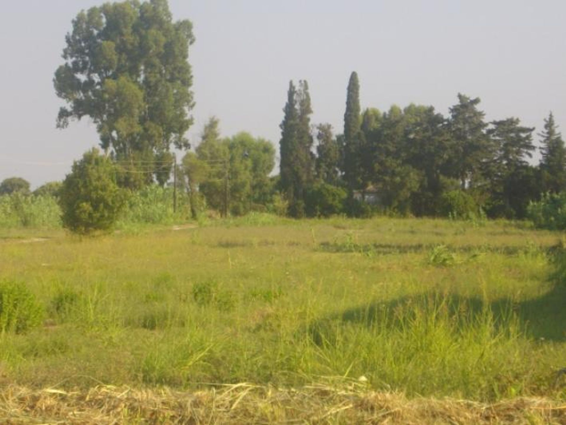 Land in Bochali, Ionia Nisia 10115972