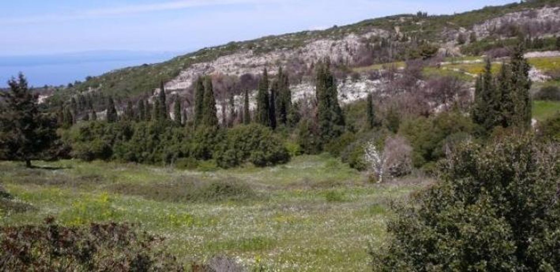 Tierra en bochalí, Jonia Nisia 10115973