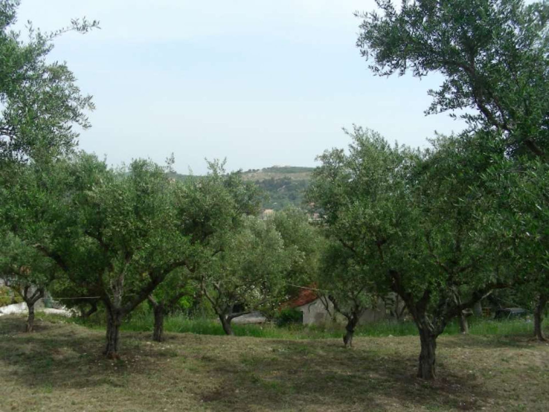 Land in Bochali, Ionië Nisia 10115984