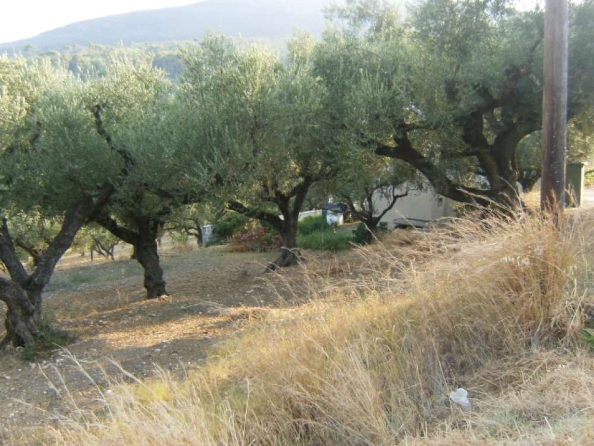 Land in Bochali, Ionië Nisia 10115994