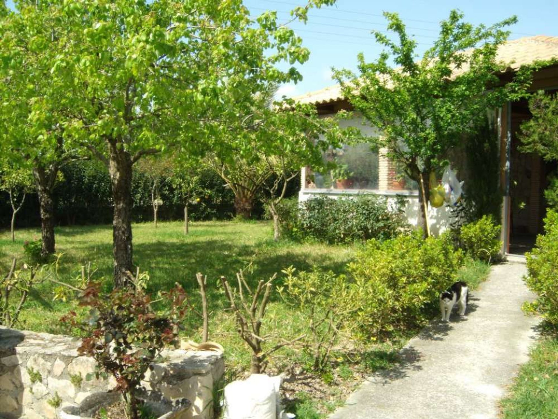 rumah dalam Zakinthos,  10116019