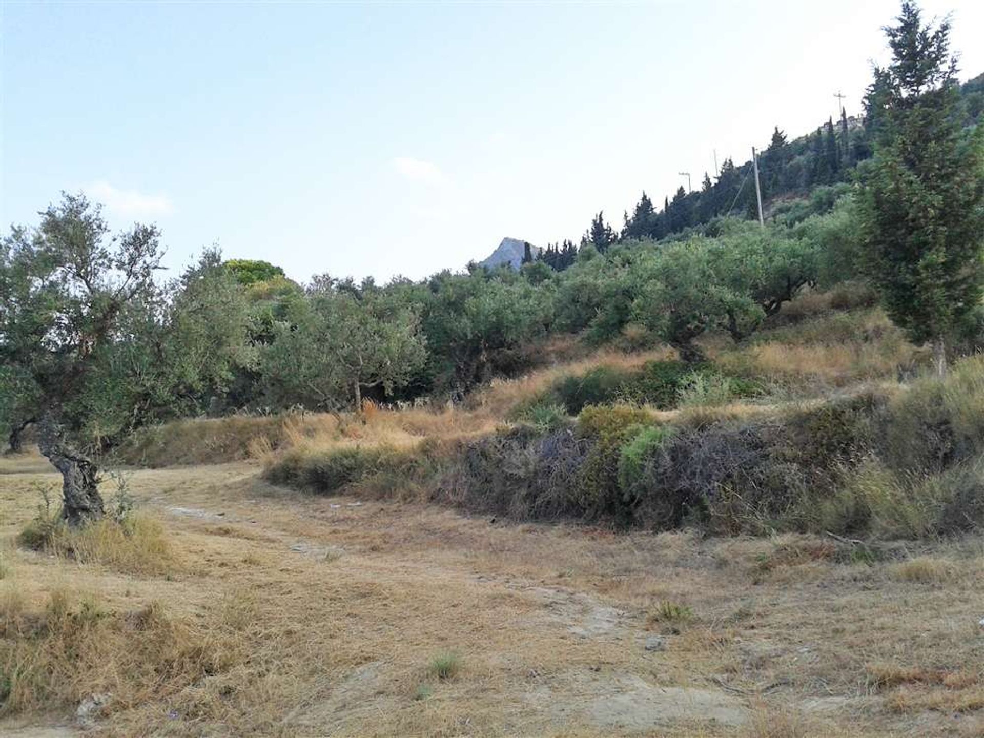 Tanah dalam Zakinthos,  10116109