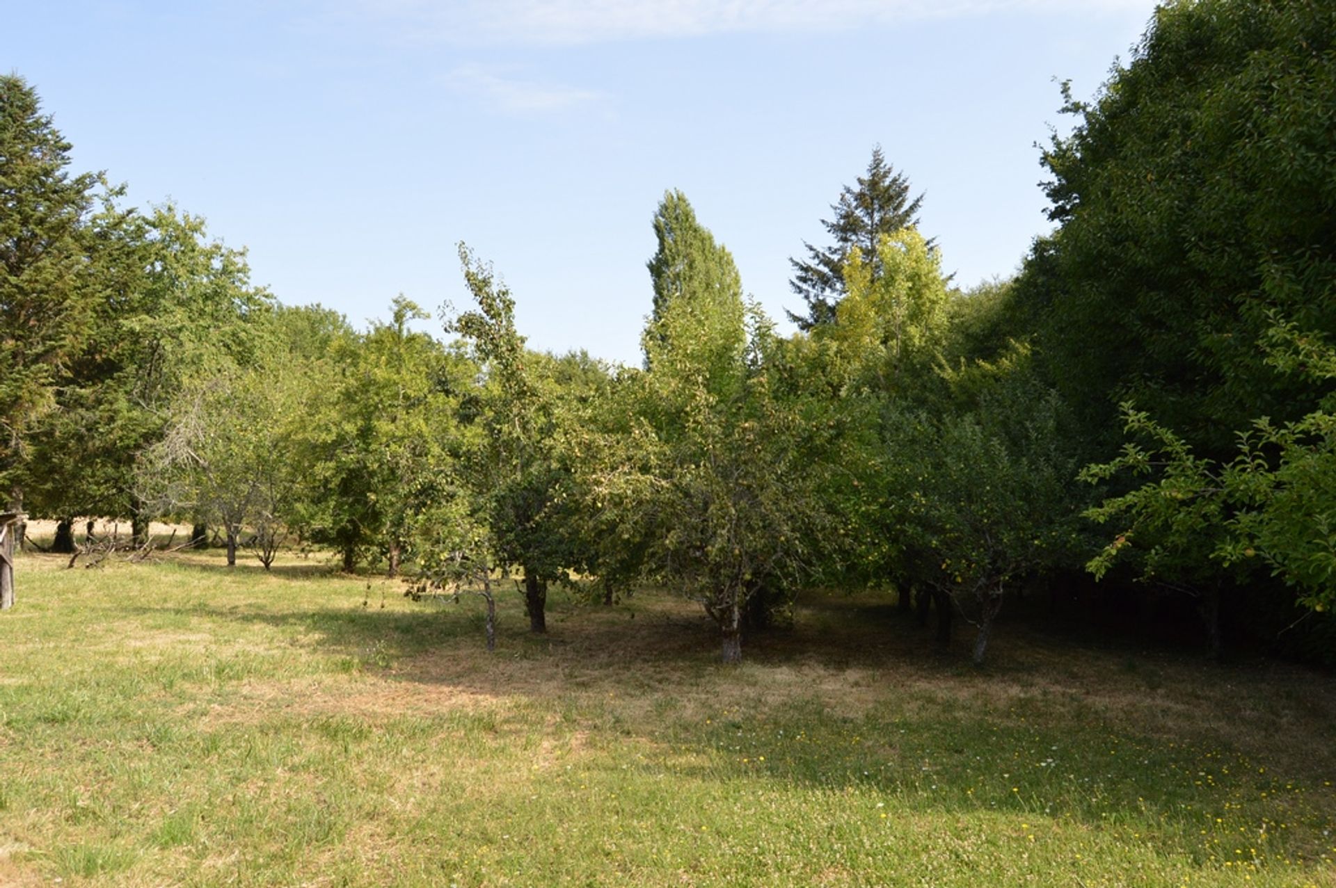 Huis in Les Adjots, Nouvelle-Aquitaine 10116130