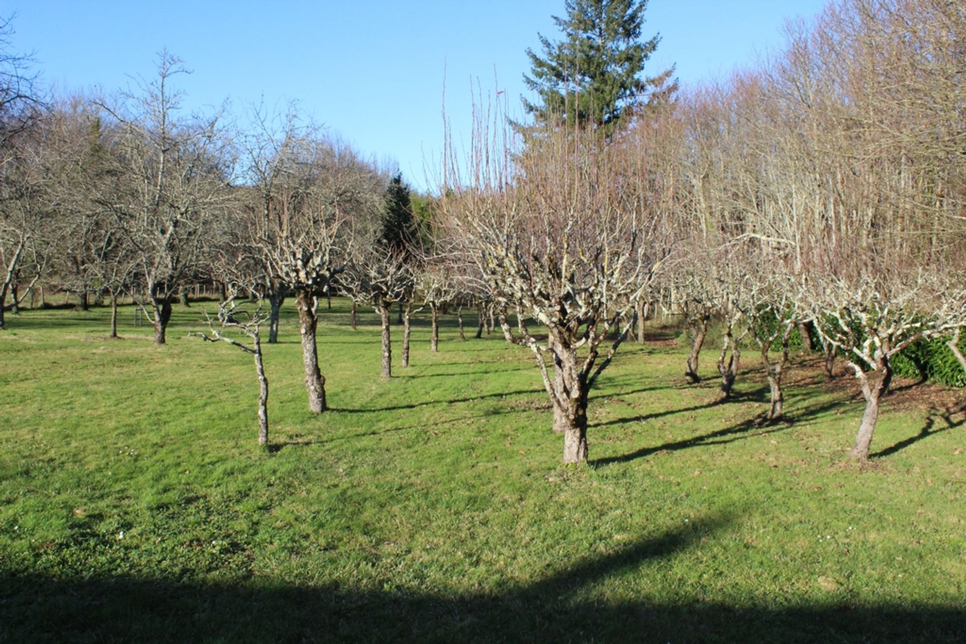 Huis in Les Adjots, Nouvelle-Aquitaine 10116130