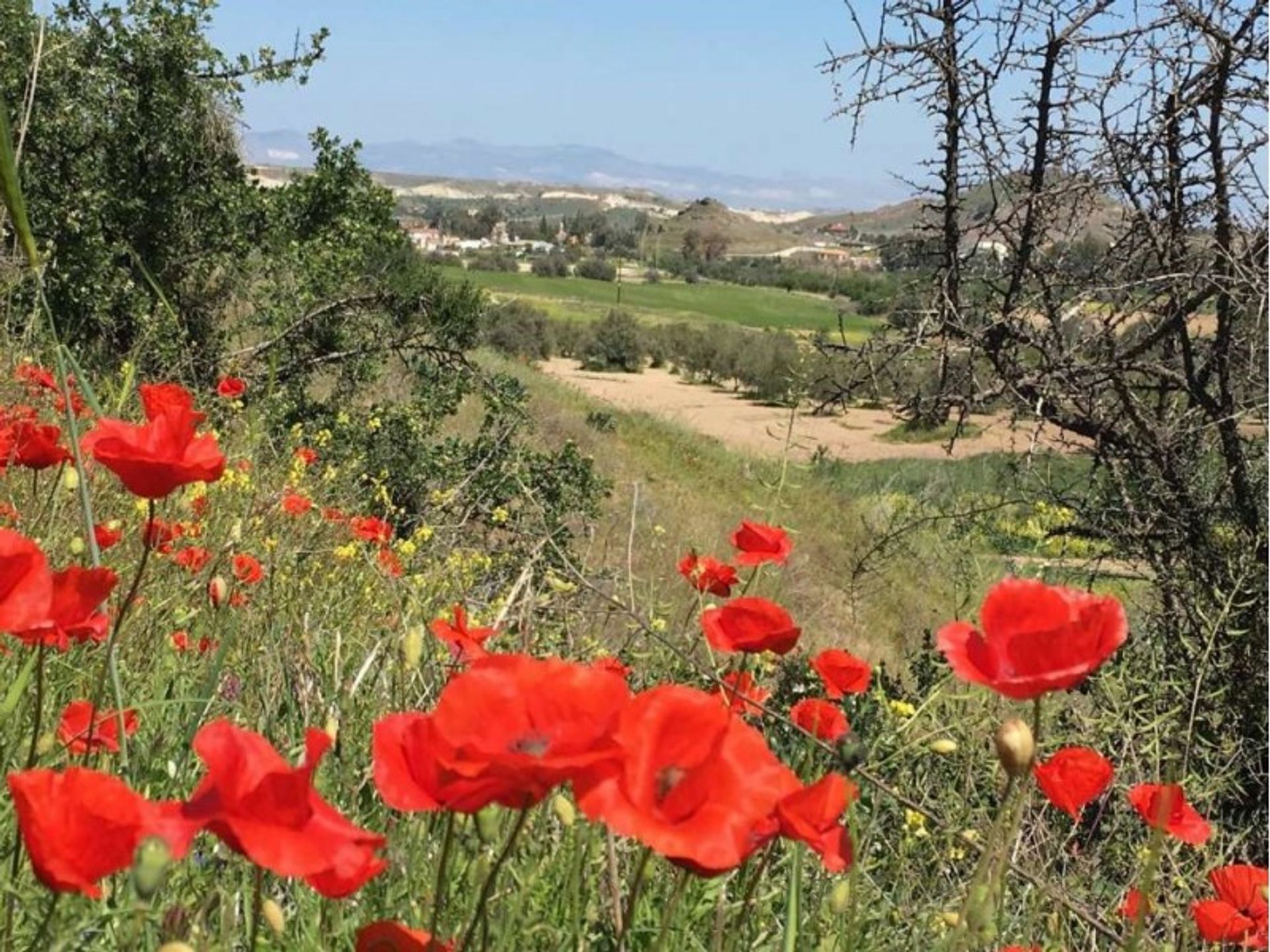 Land in Psimolofou, Lefkosia 10116173